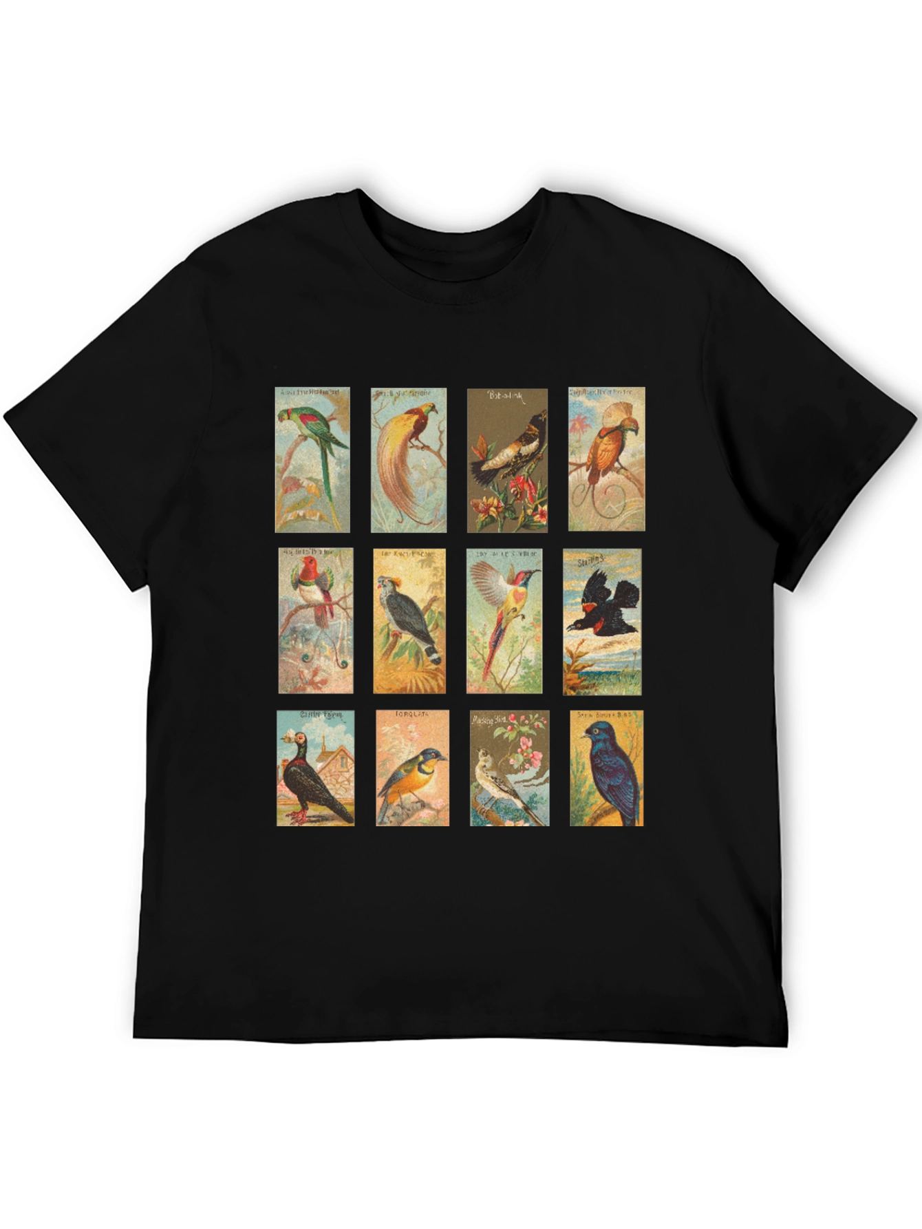 Black Vintage Birds Black T-Shirt view 5