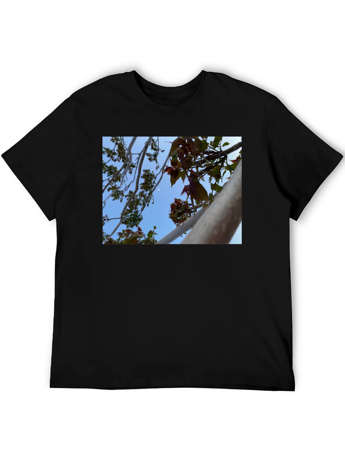 Black Nature View T-Shirt - Branches & Sky Design view 5