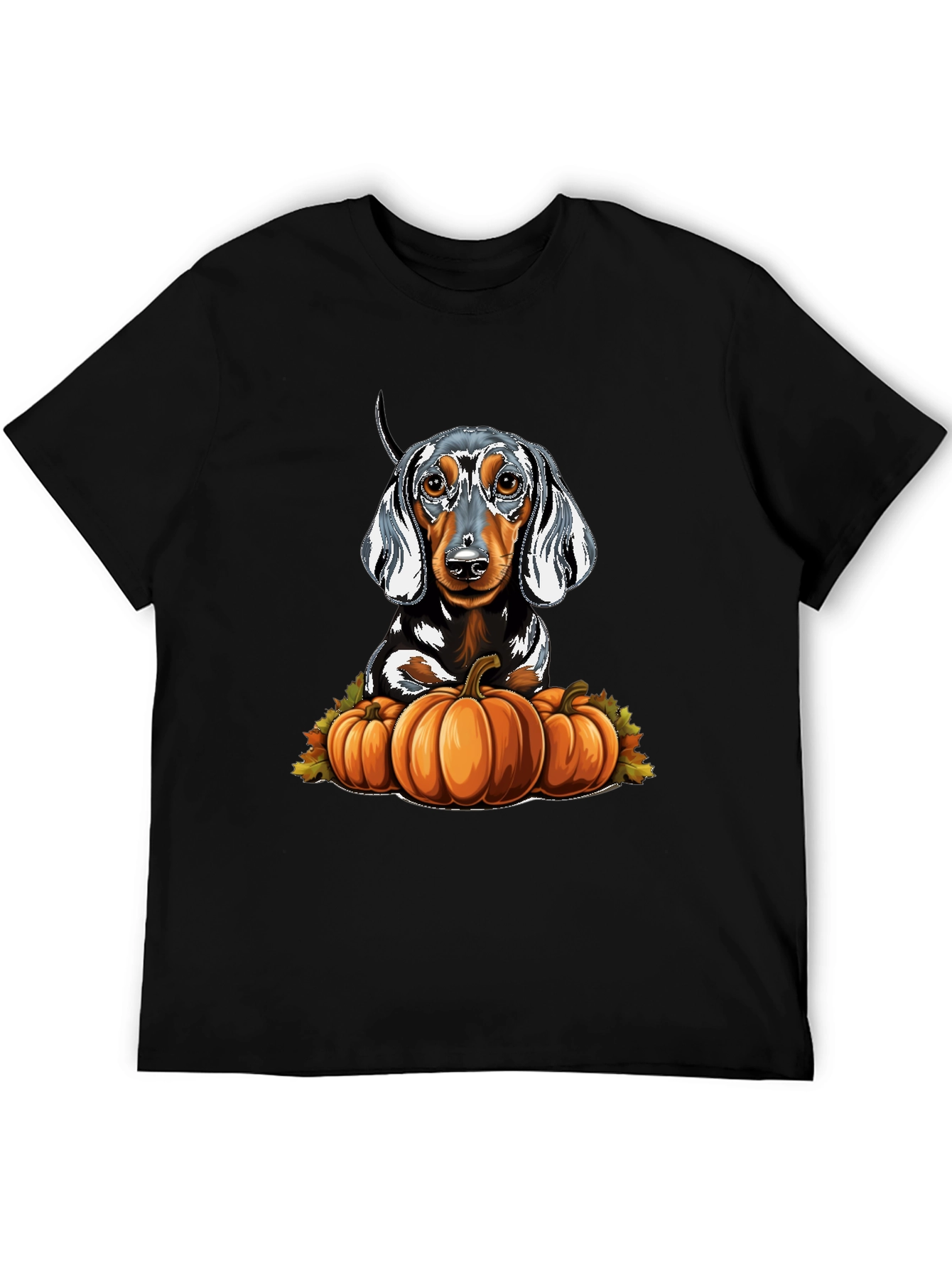 Black Dachshund & Pumpkins Graphic Tee view 5