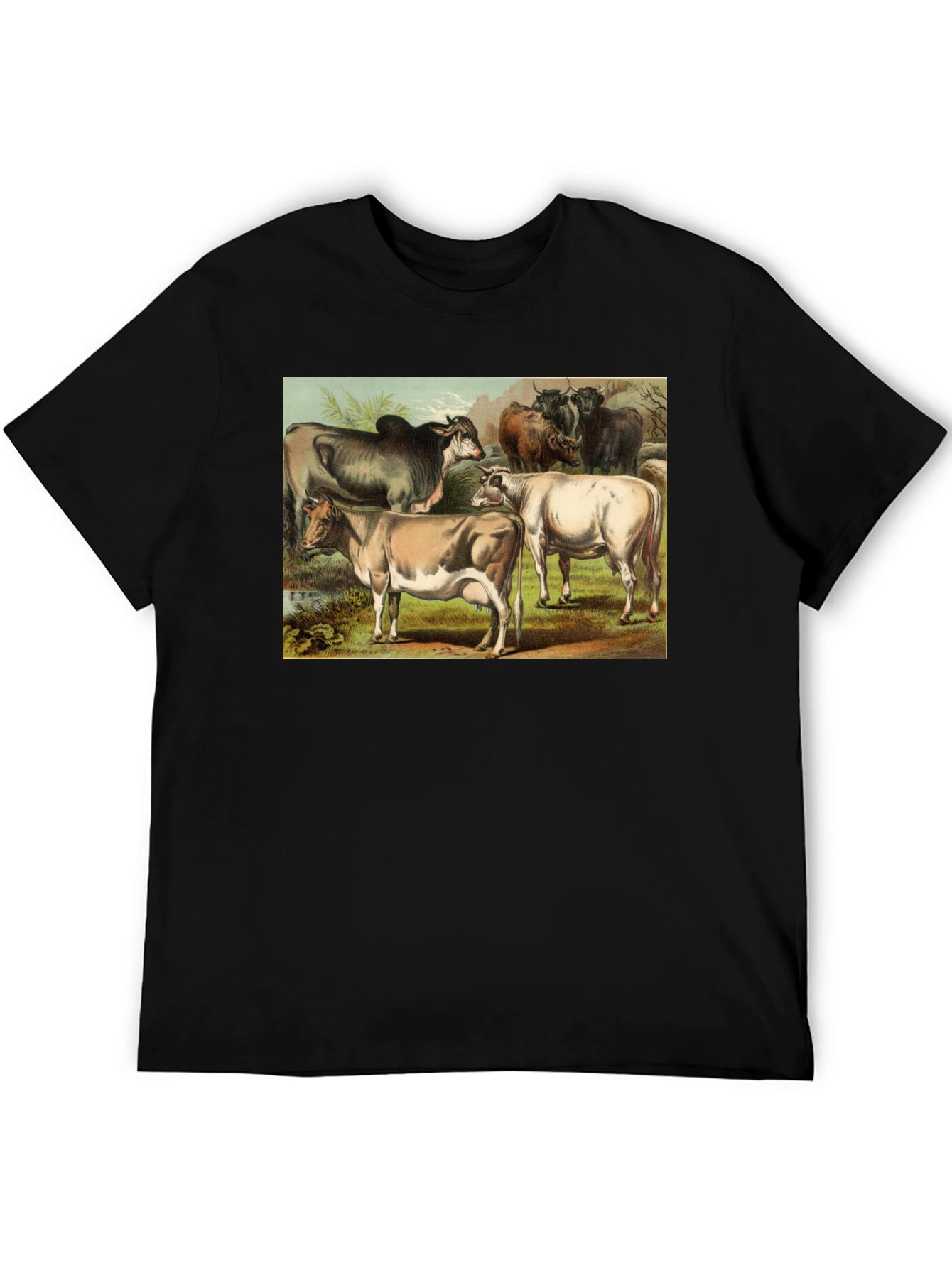 Black Vintage Cows Graphic Black T-Shirt view 5