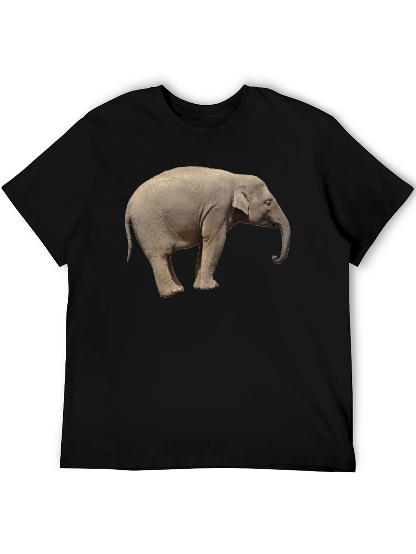 Black Elephant Graphic Tee - Cool Animal Print T-Shirt view 5