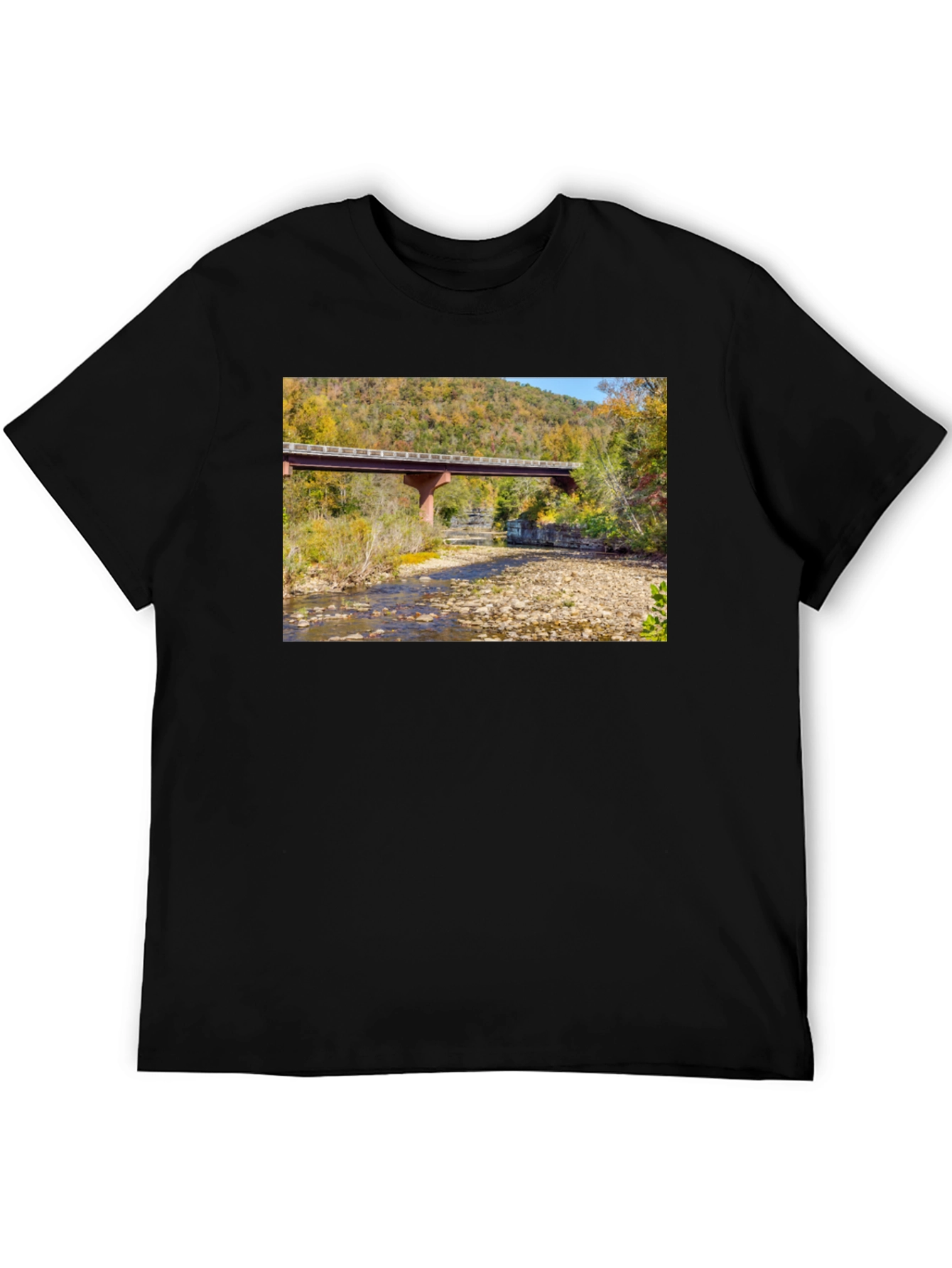 Black Nature Bridge Graphic Tee - Black Cotton Blend view 5