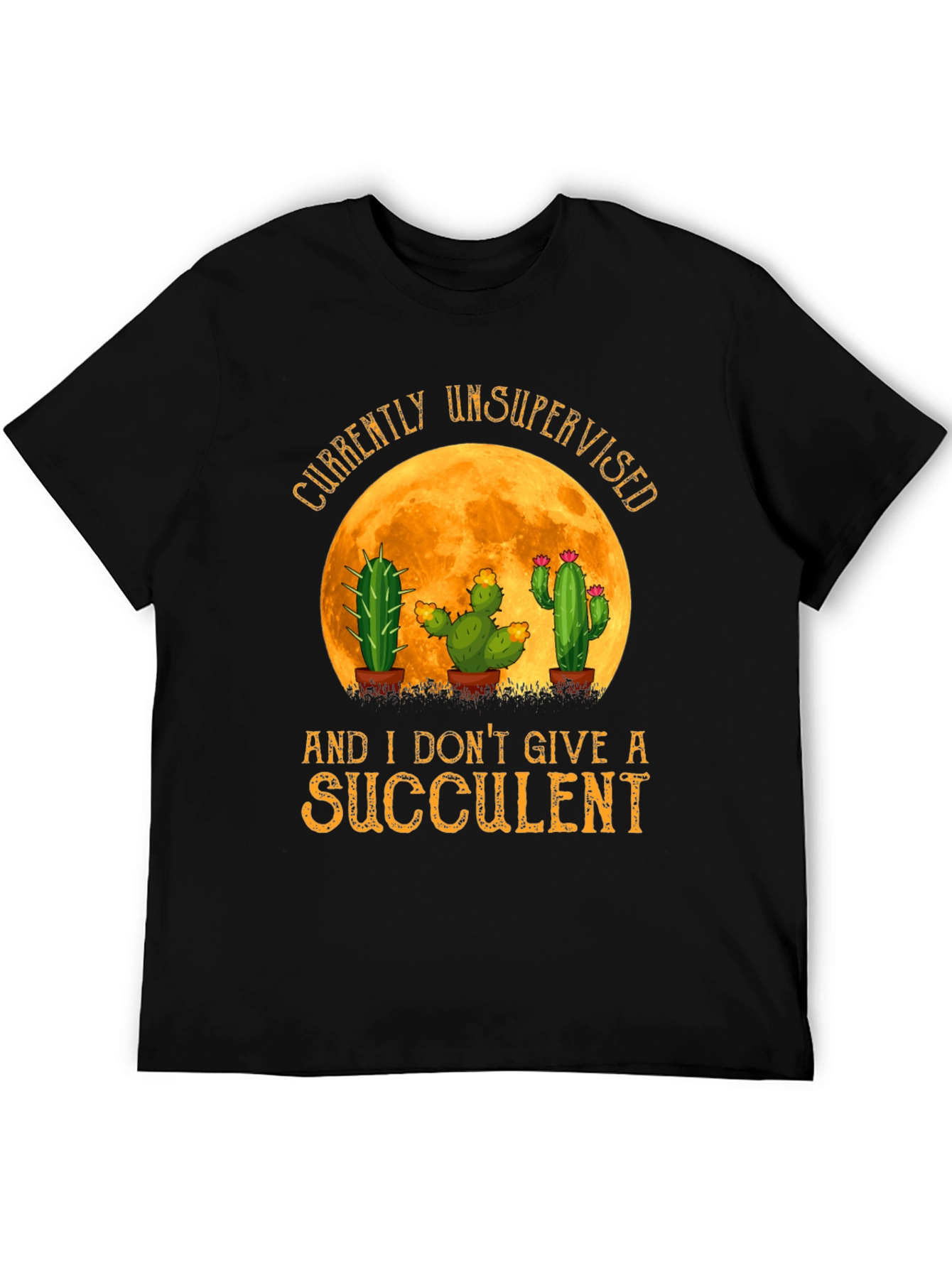 Black Unsupervised Succulent Cactus T-Shirt view 5