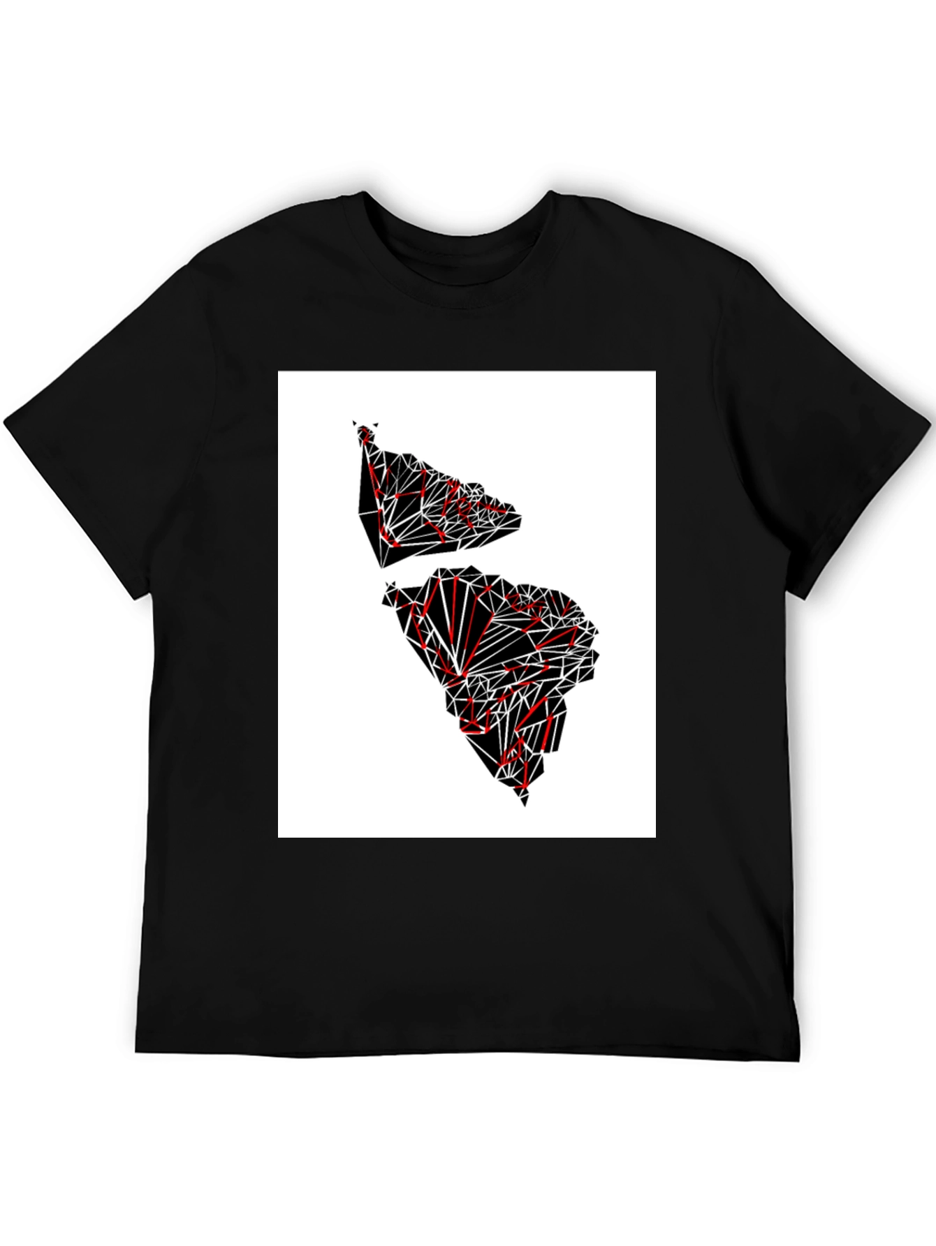 Black Geometric Continent Graphic Tee - Black view 5