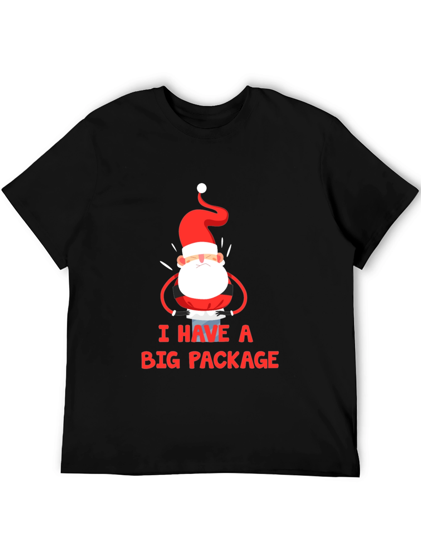 Black I Have a Big Package Graphic Tee Santa Christmas Holiday Shirt view 5