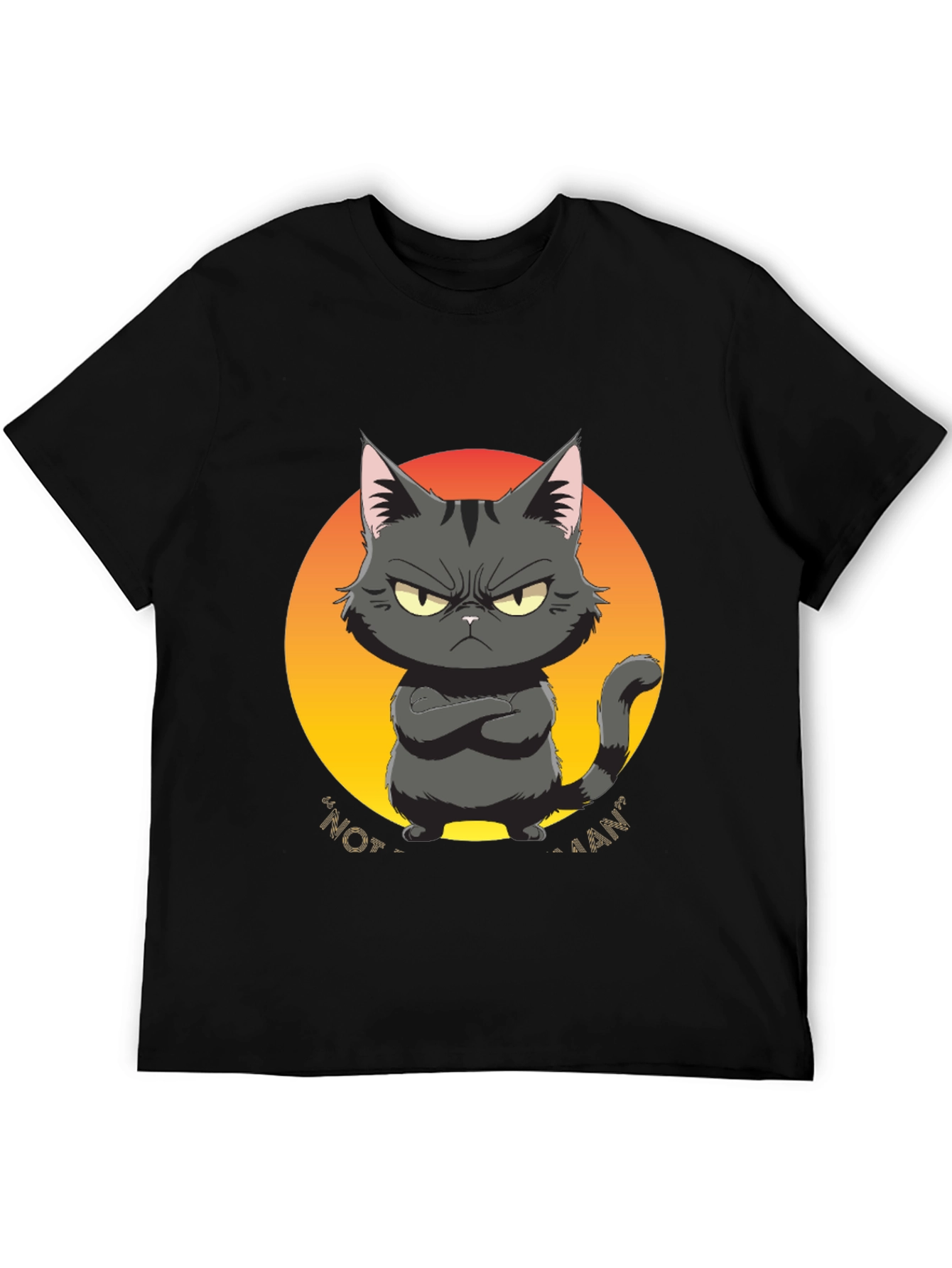 Black Grumpy Cat Graphic Tee - "Not a Fan" Black T-Shirt view 5
