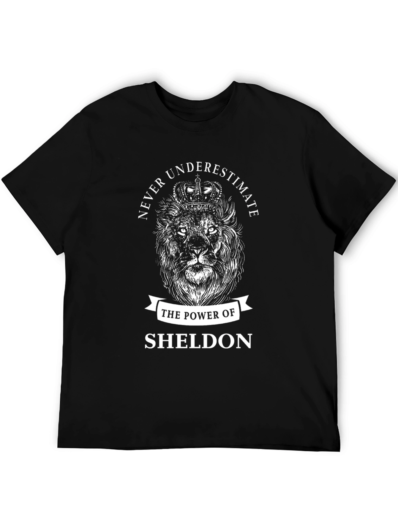 Black Sheldon Power Lion Graphic Tee - Black Cotton T-Shirt view 5