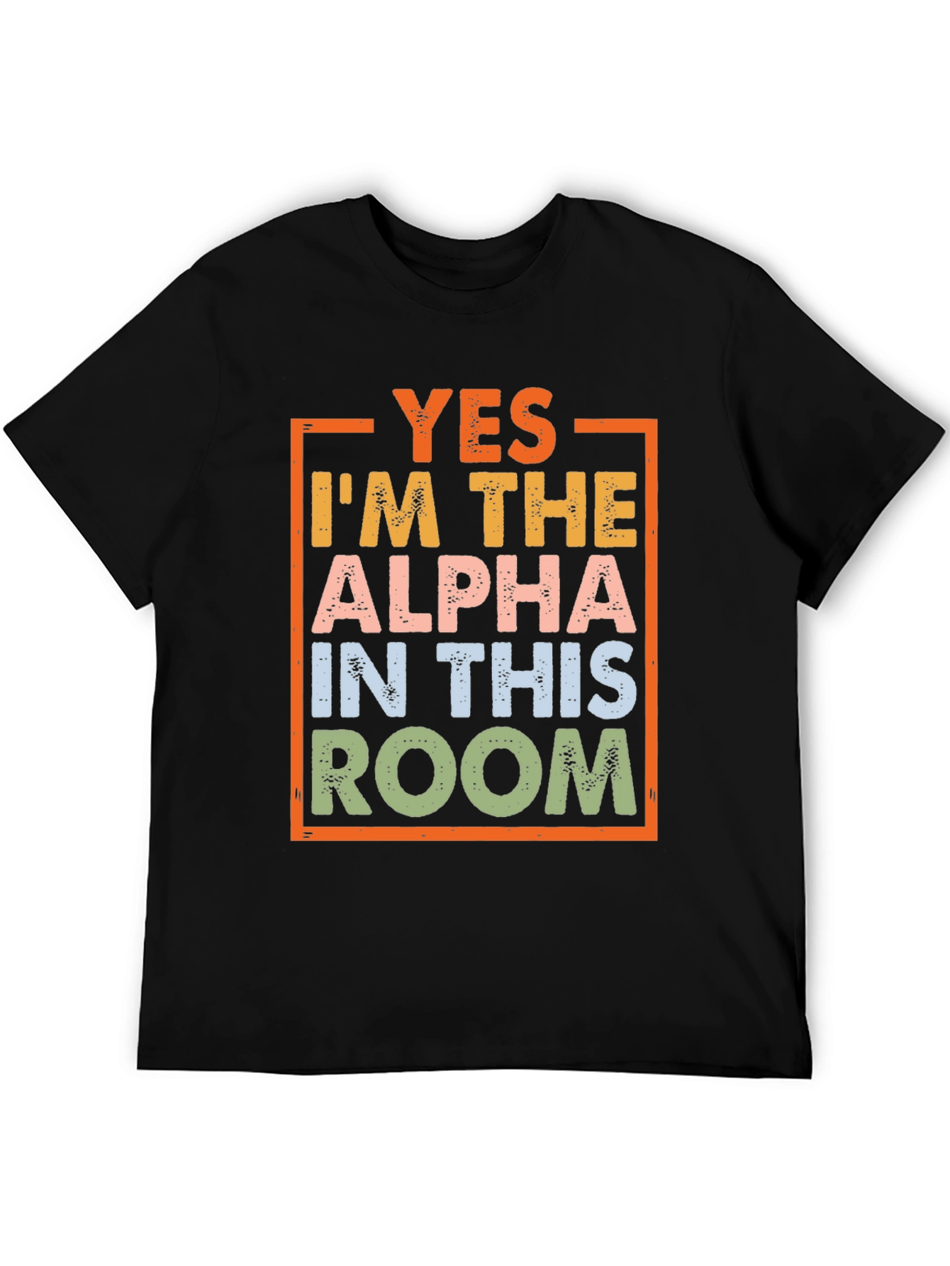 Black Alpha In This Room Graphic Tee view 5