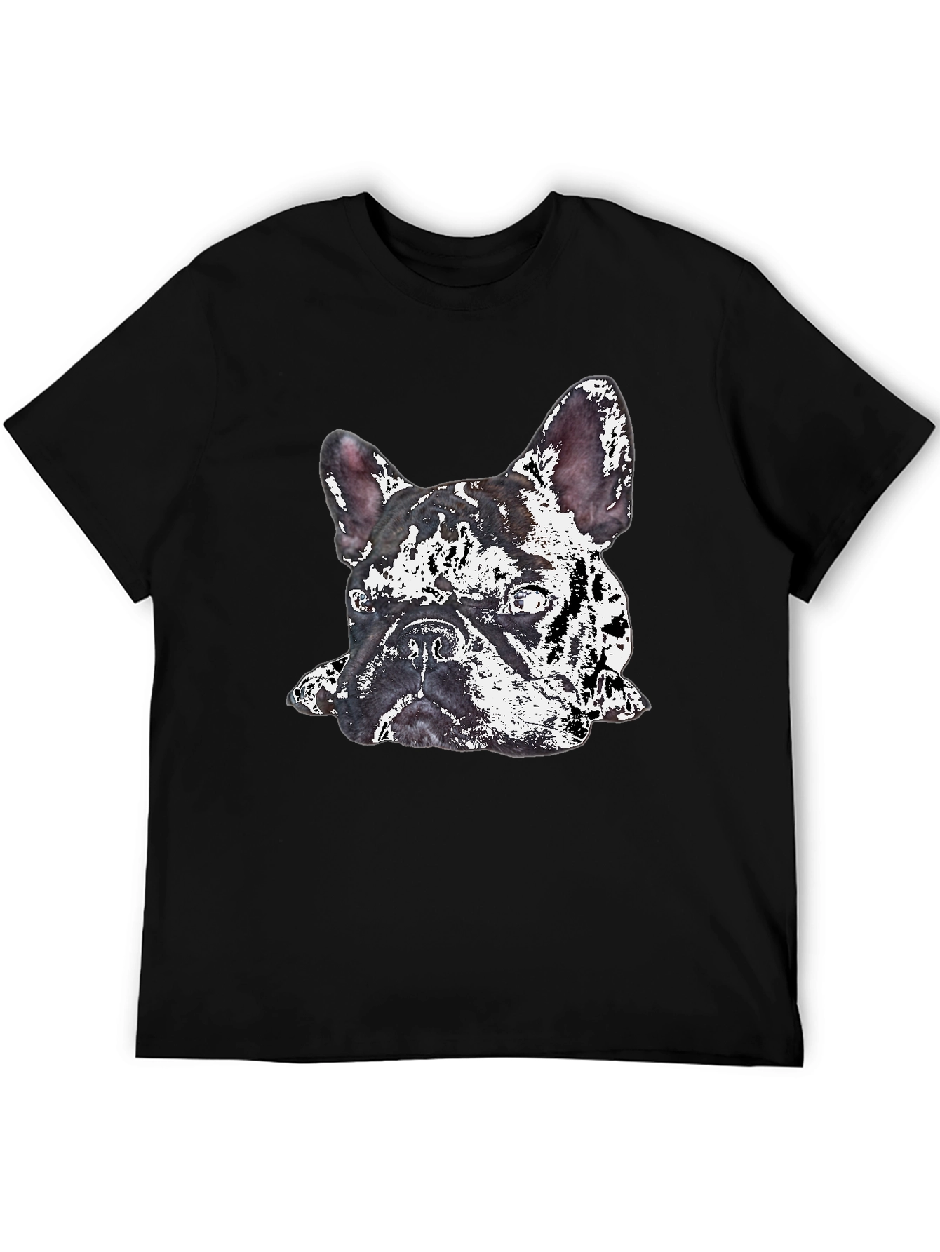 Black Dog Graphic Print Crew Neck T-Shirt view 5