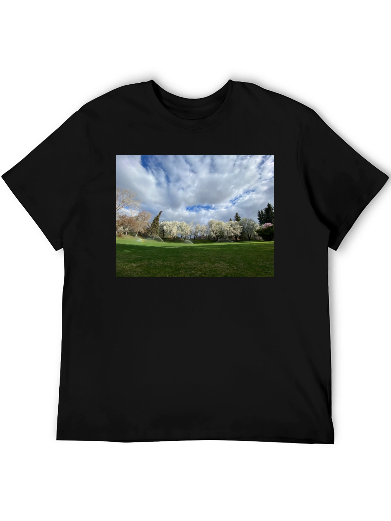 Black Scenic Landscape Graphic Tee - Cotton Comfort view 5