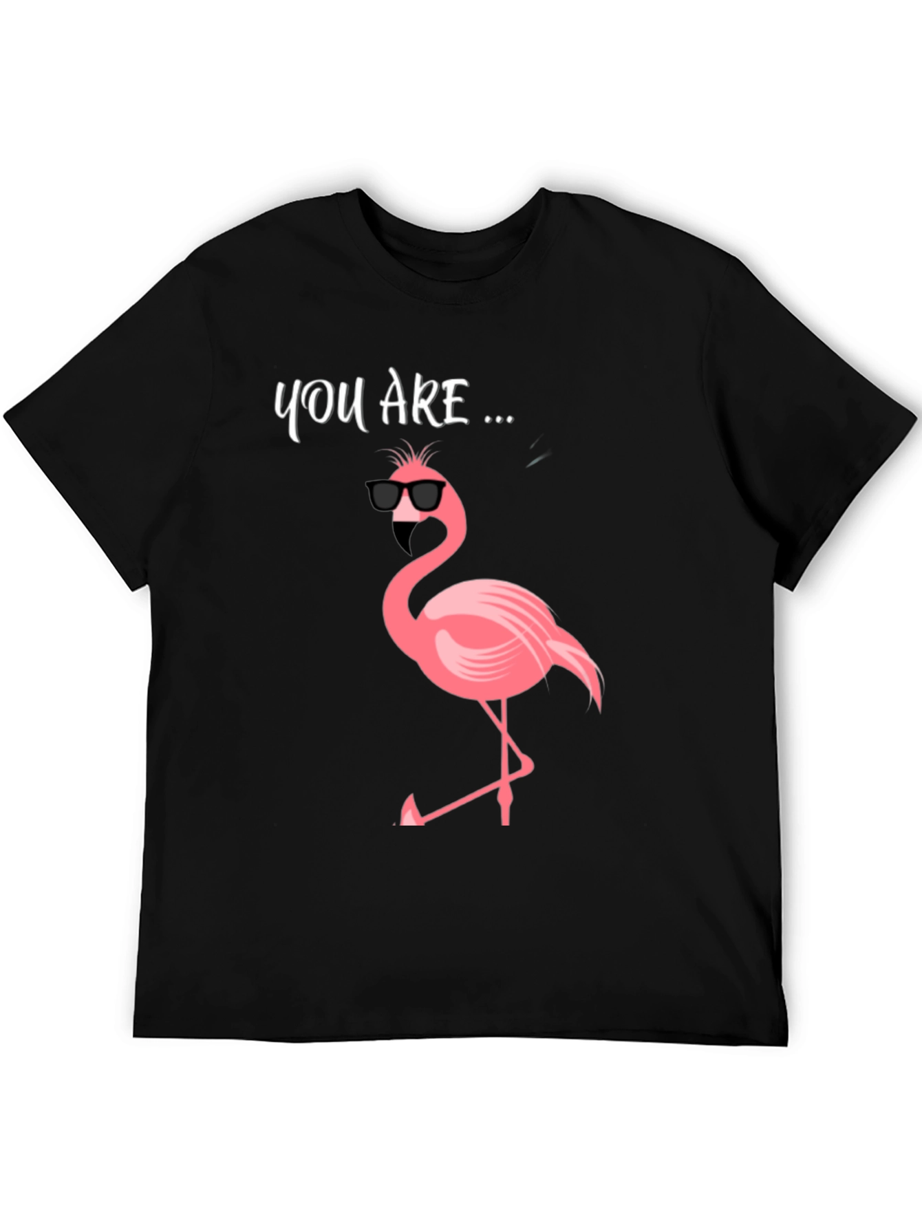 Black Cool Flamingo Graphic Tee - Men's Black T-Shirt view 5