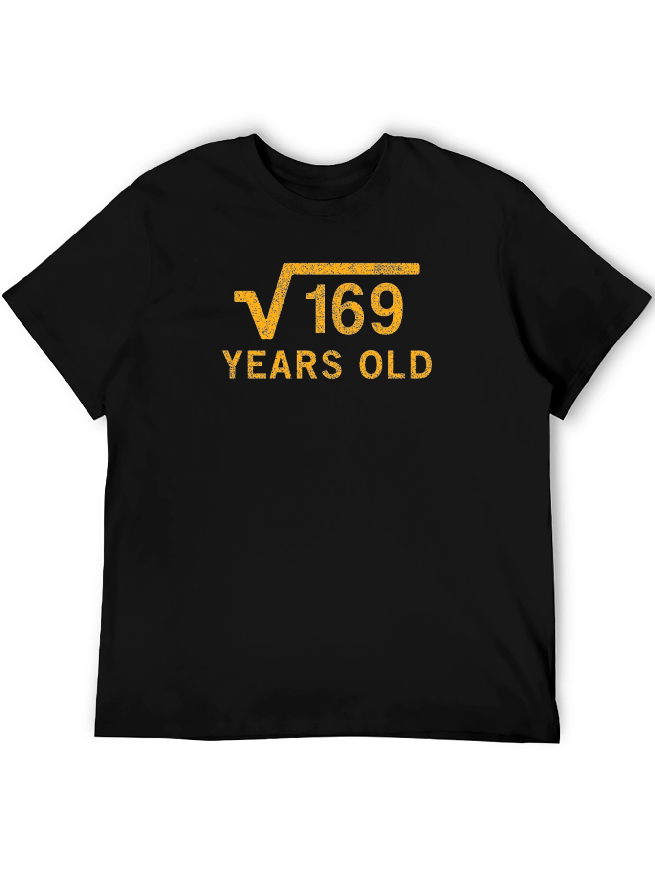 Black Funny 13th Birthday Square Root of 169 T-Shirt view 5