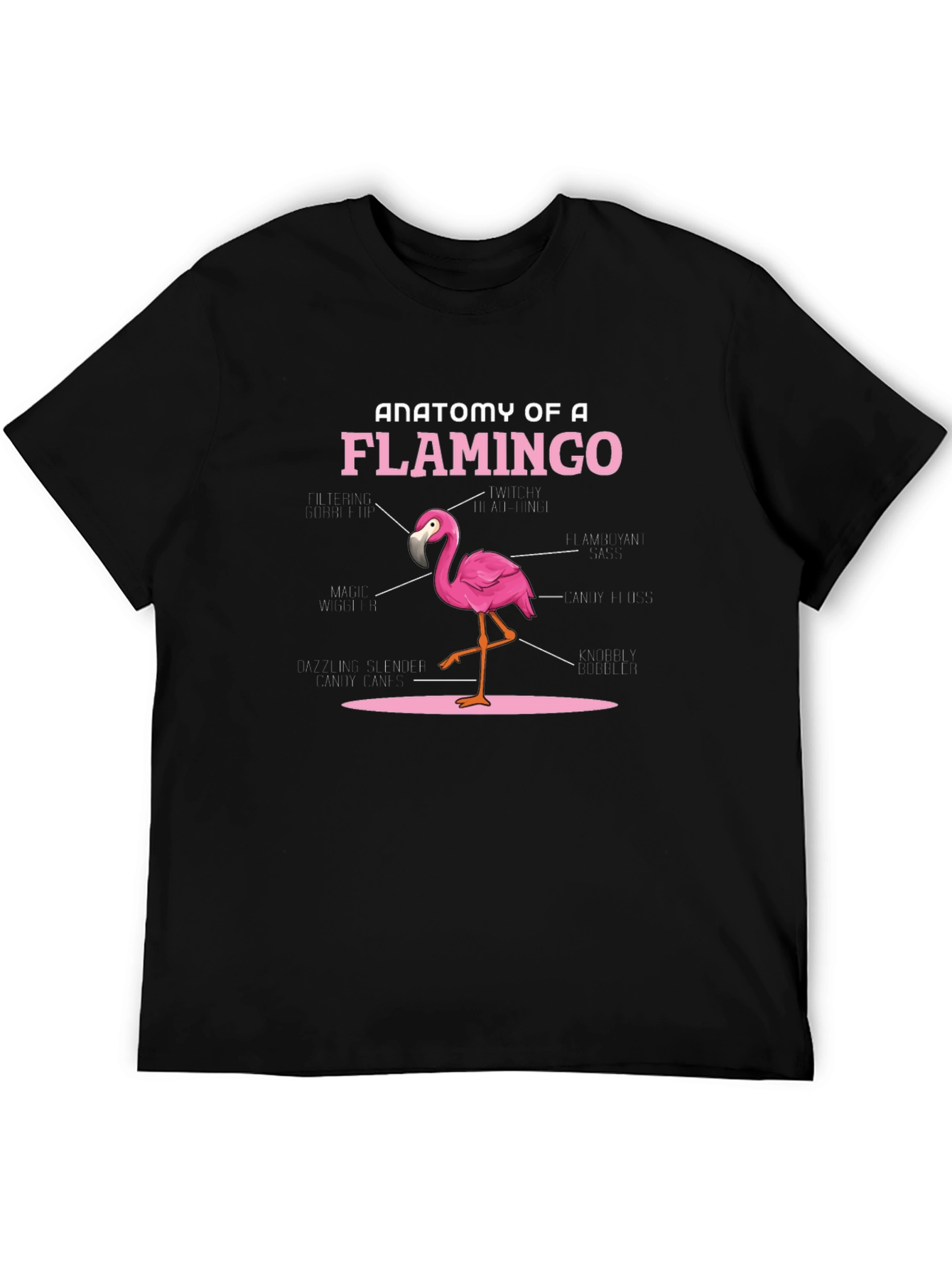 Black Anatomy of a Flamingo T-Shirt - Novelty Graphic Tee view 5
