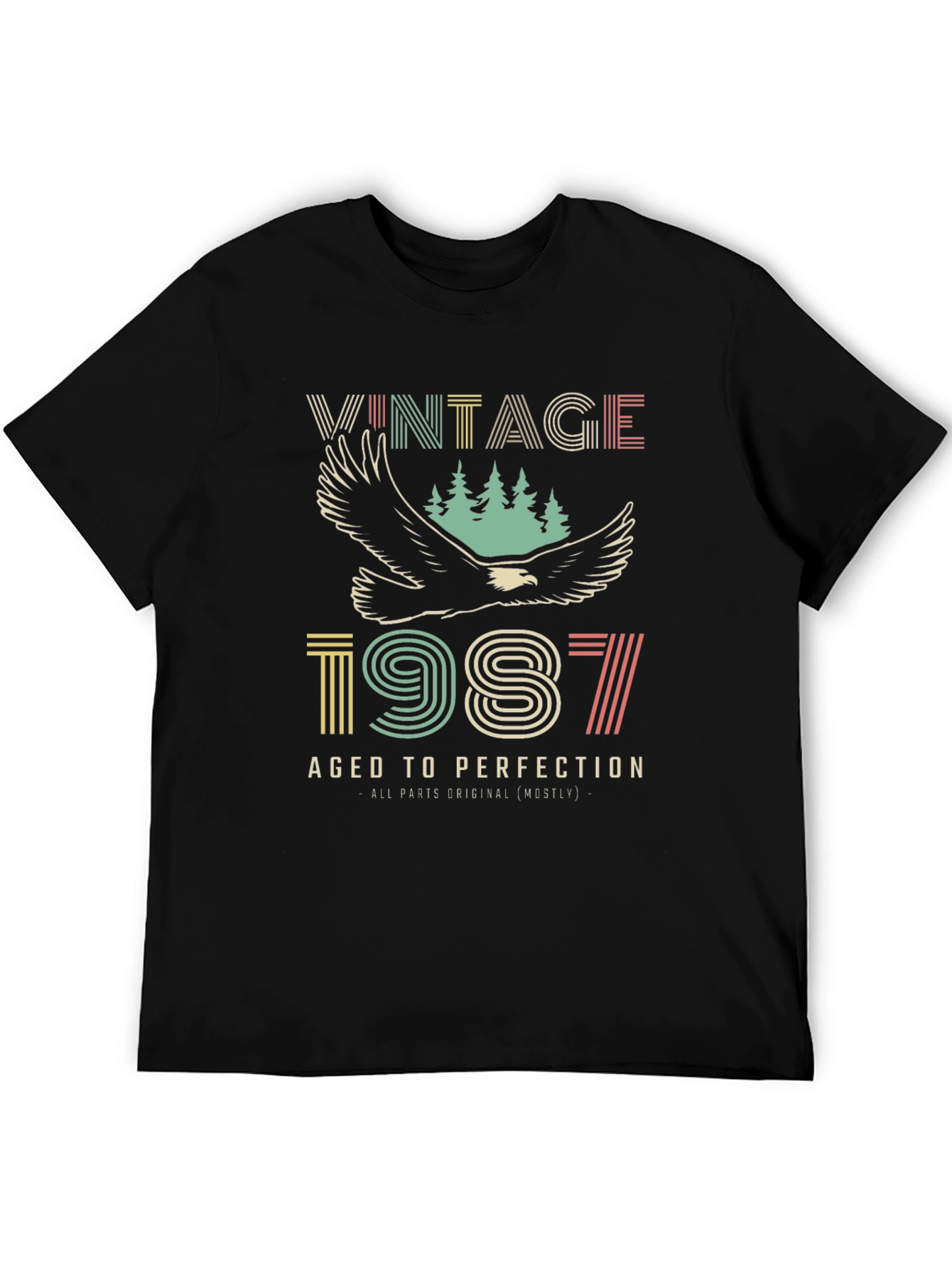 Black Vintage 1987 Aged to Perfection Graphic Tee view 5