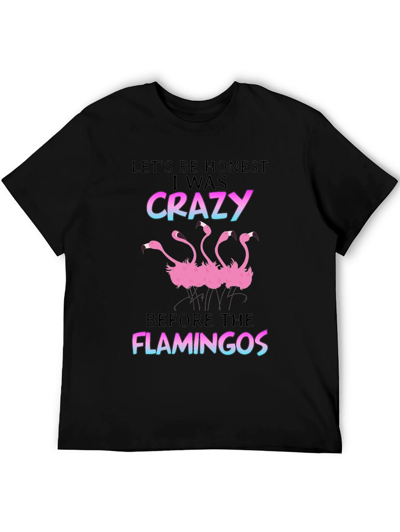 Black Crazy Before Flamingos T-Shirt - Black view 5