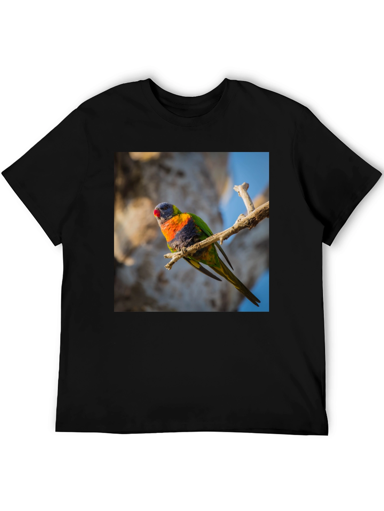 Black Rainbow Lorikeet T-Shirt - Nature Inspired Apparel view 5