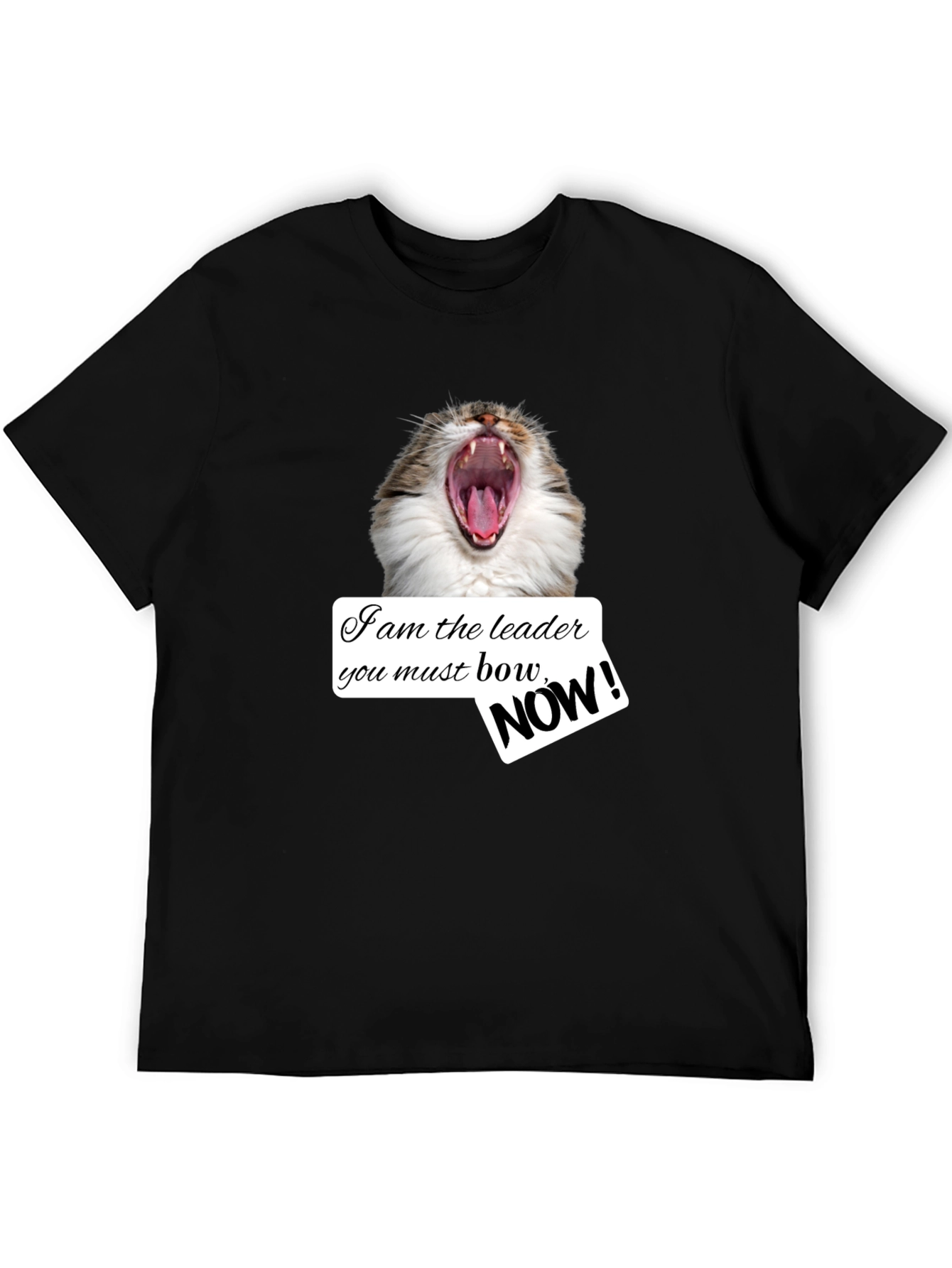Black Funny Cat T-Shirt - I am the Leader Bow NOW! - Black view 5