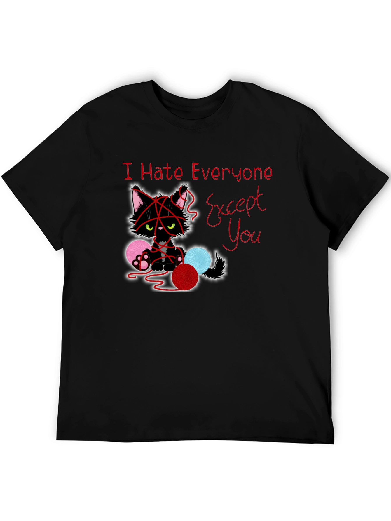 Black I Hate Everyone Except You Cat T-Shirt view 5