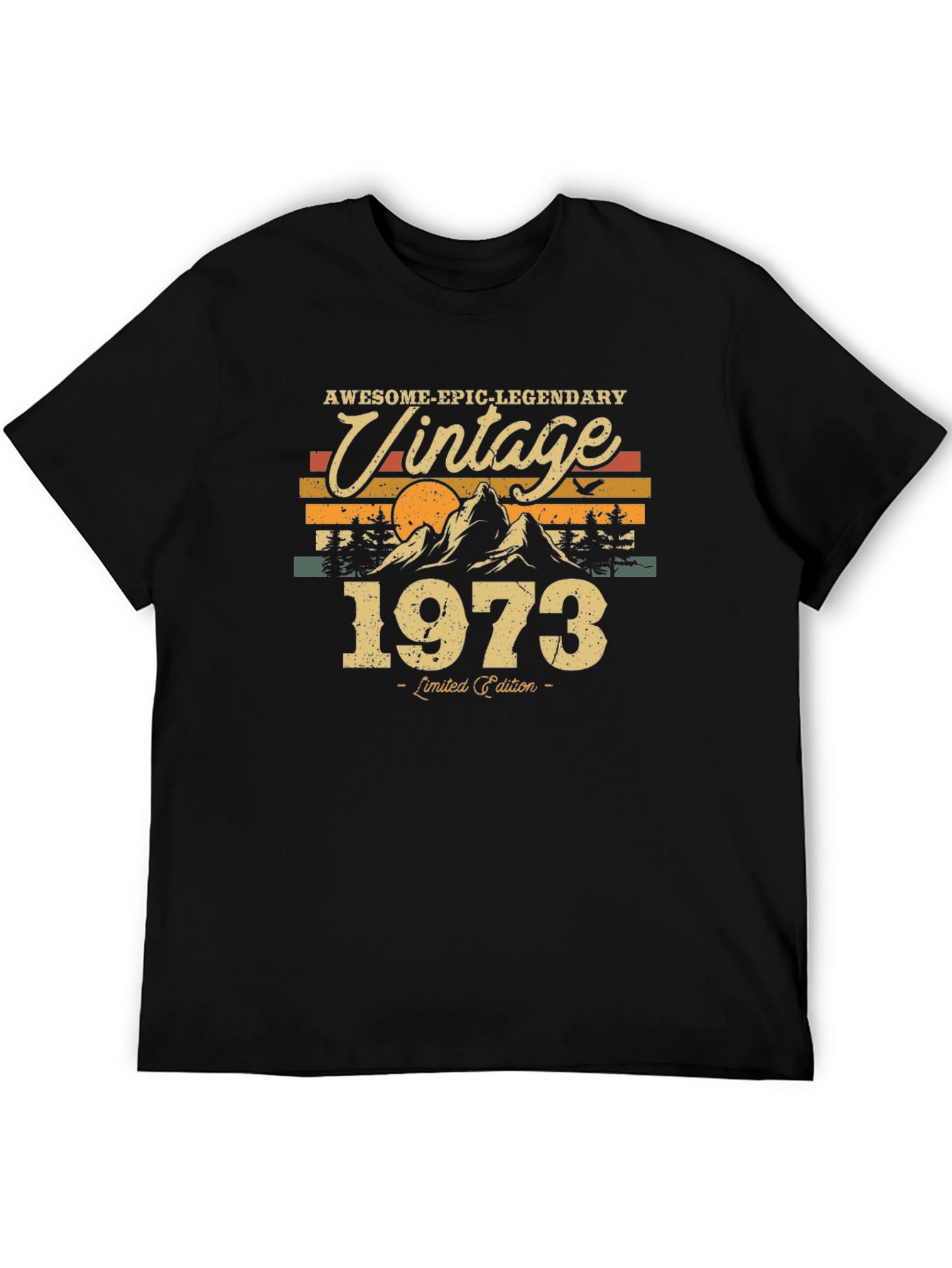 Black Vintage 1973 T-Shirt - Awesome Epic Legendary view 5