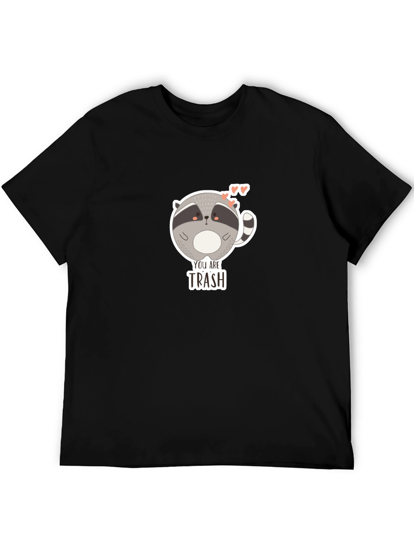 Black You Are Trash Raccoon Graphic T-Shirt view 5