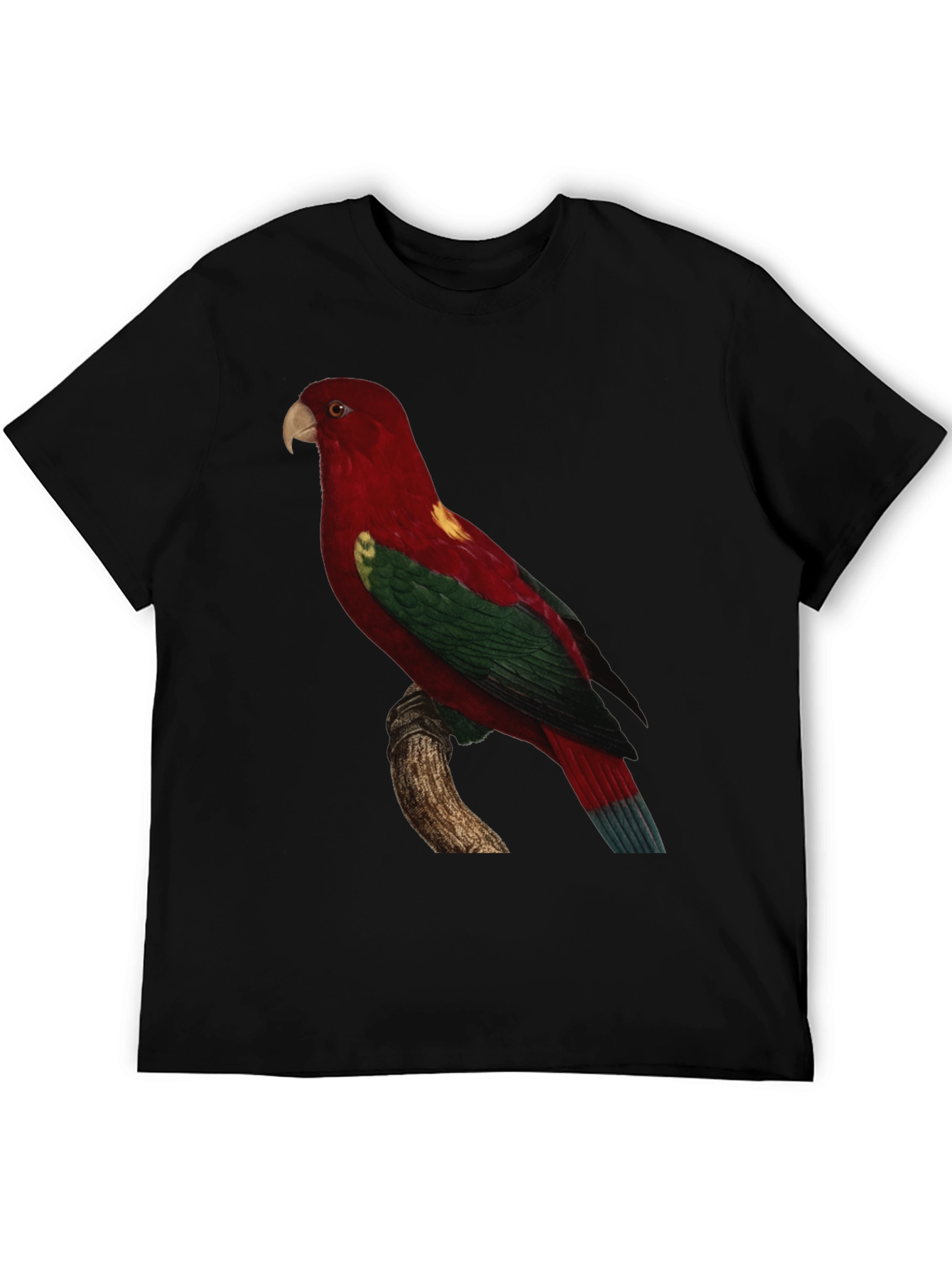 Black Parrot Print Crewneck T-Shirt view 5