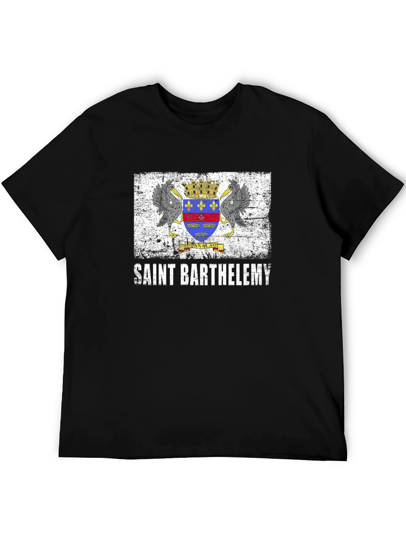 Saint Barthelemy Flag T-Shirt - Black - 5