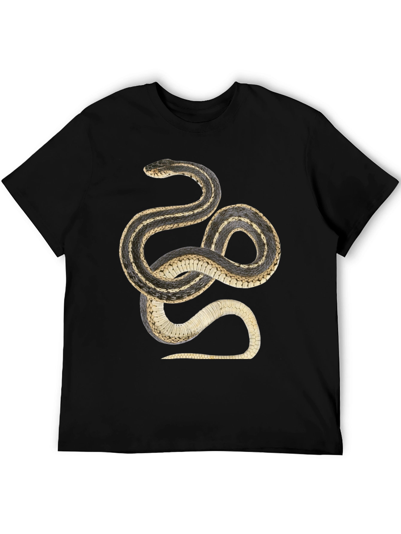 Black Snake Graphic T-Shirt - Black Cotton Tee view 5