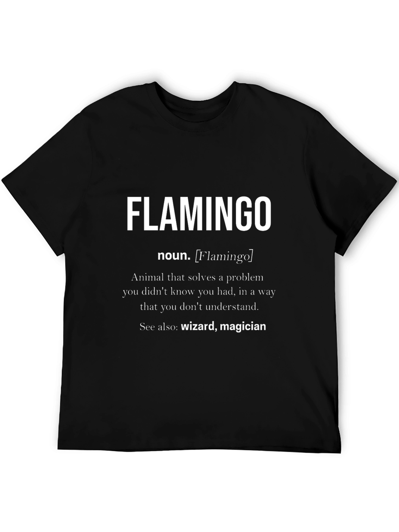 Black Funny Flamingo Definition Black T-Shirt view 5