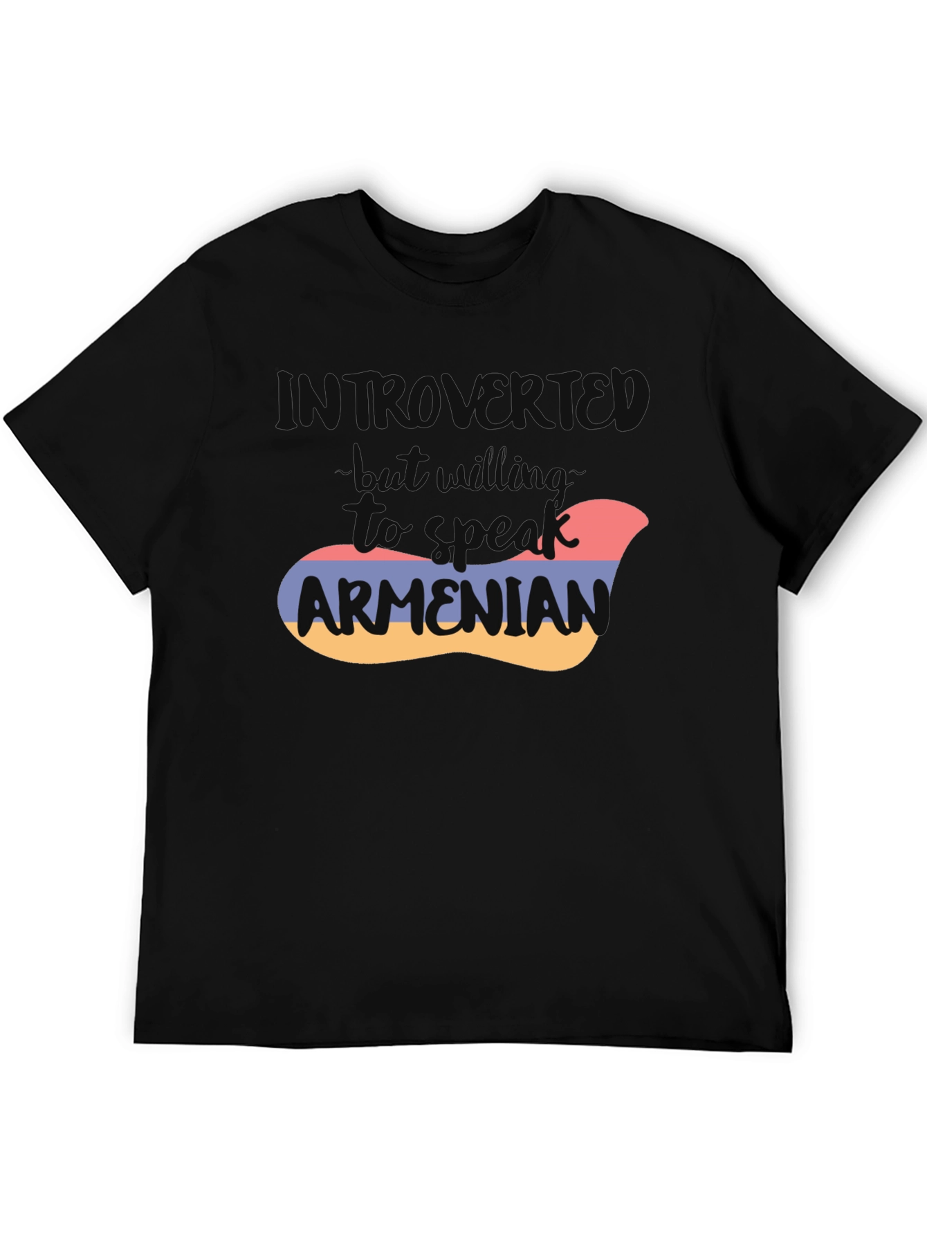 Black Introvert Armenian Flag T-Shirt view 5