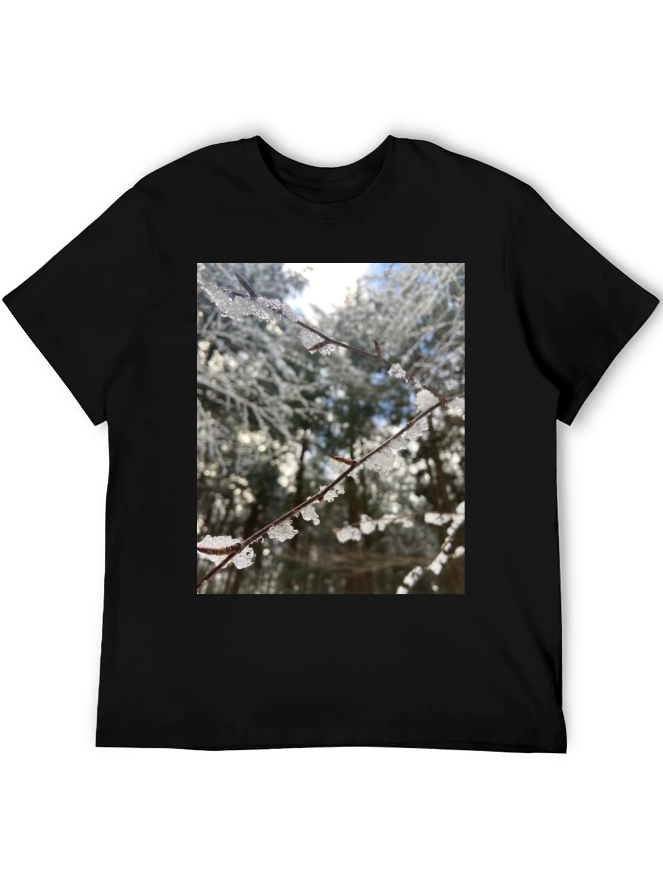 Black Winter Branch Graphic Tee - Nature Inspired Design view 5