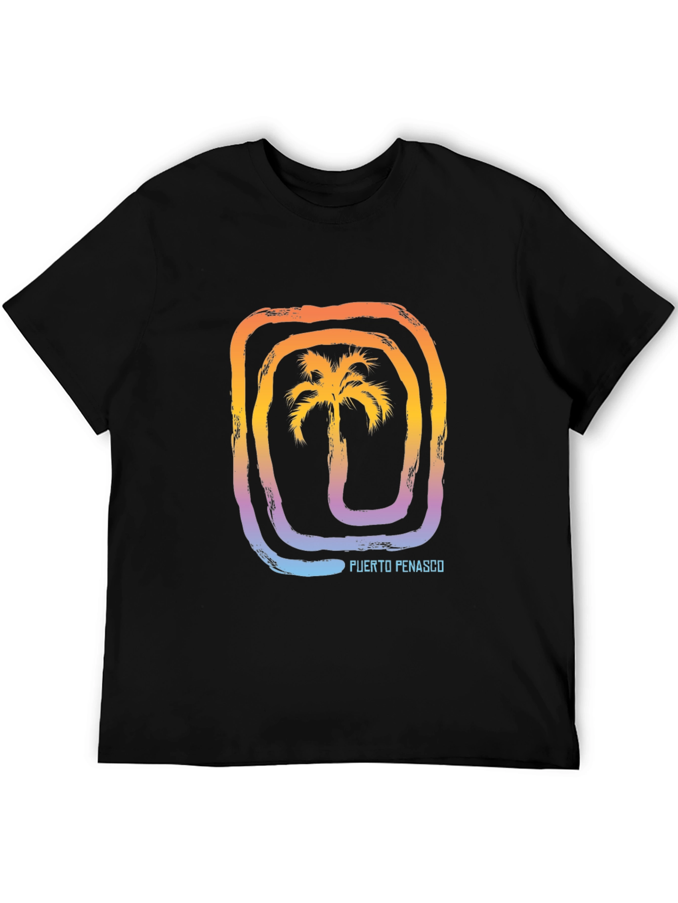Black Puerto Penasco Palm Graphic Tee view 5