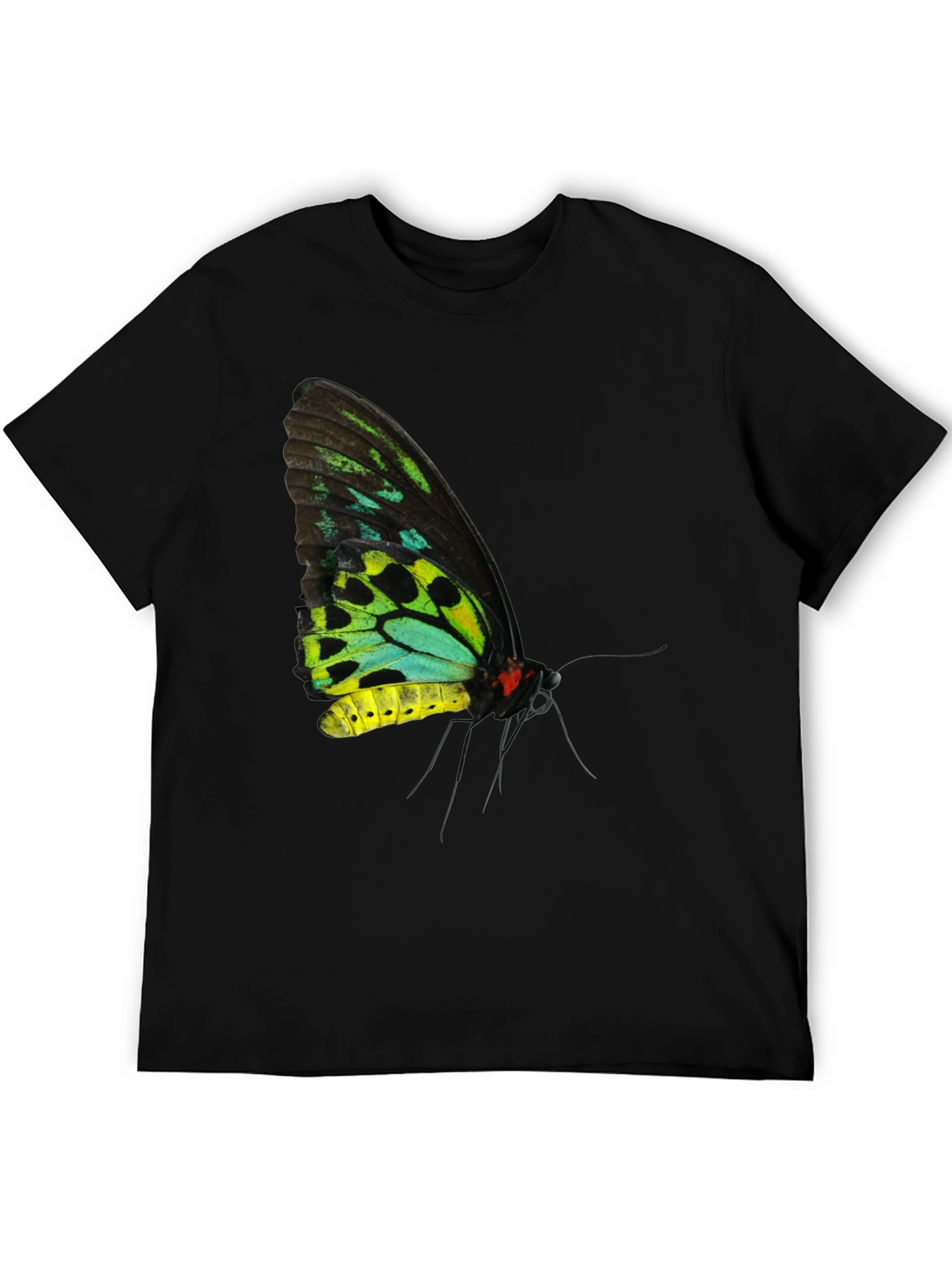 Black Butterfly Graphic Black T-Shirt view 5