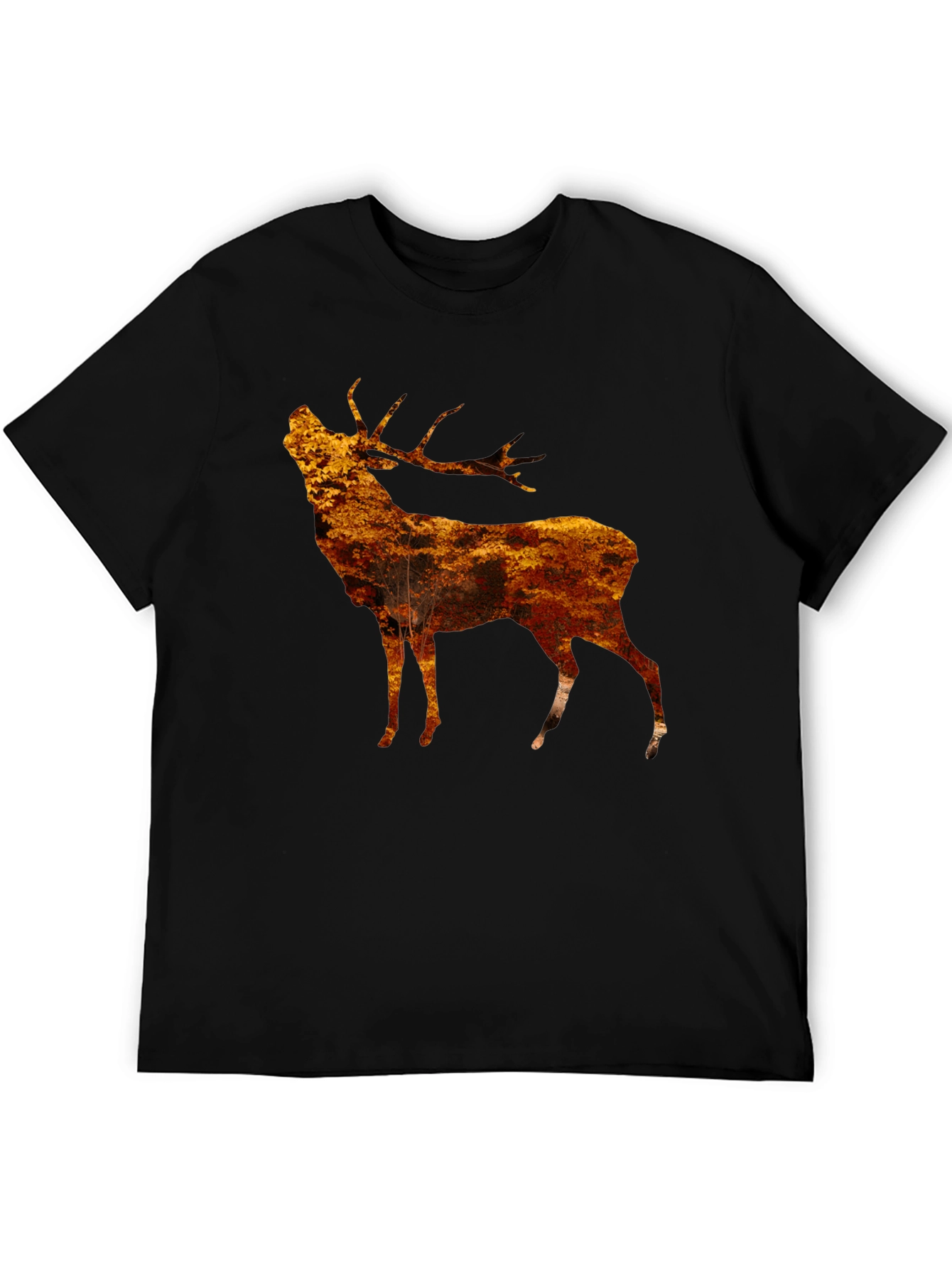 Black Rustic Stag Graphic Tee - Black view 5