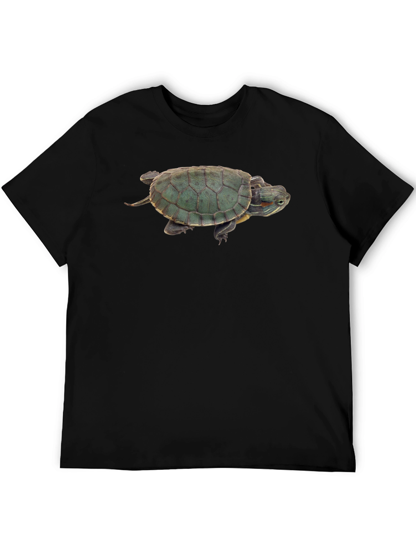 Black Turtle Graphic Black T-Shirt view 5