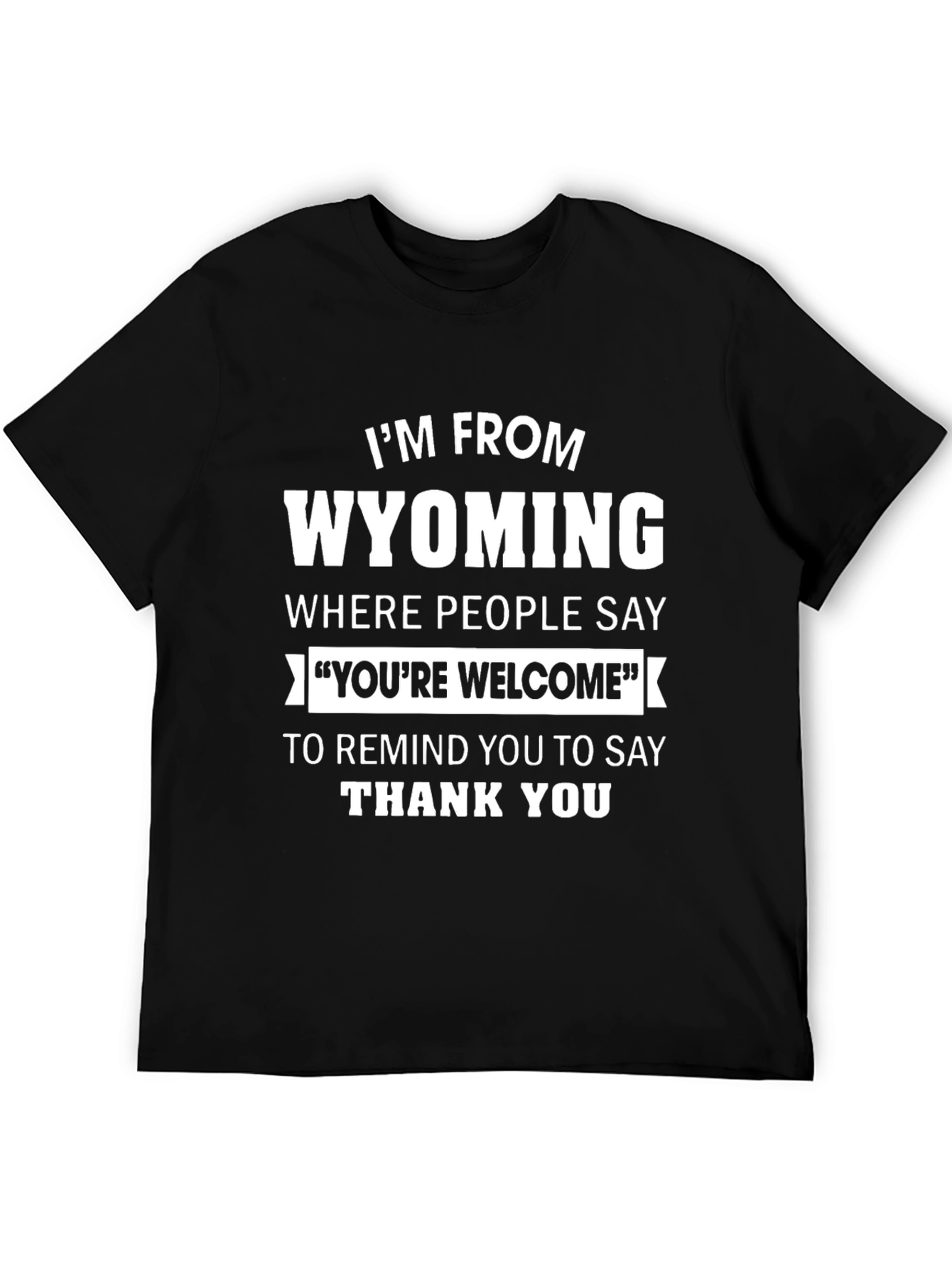 Black Wyoming "You're Welcome" Graphic Tee view 5