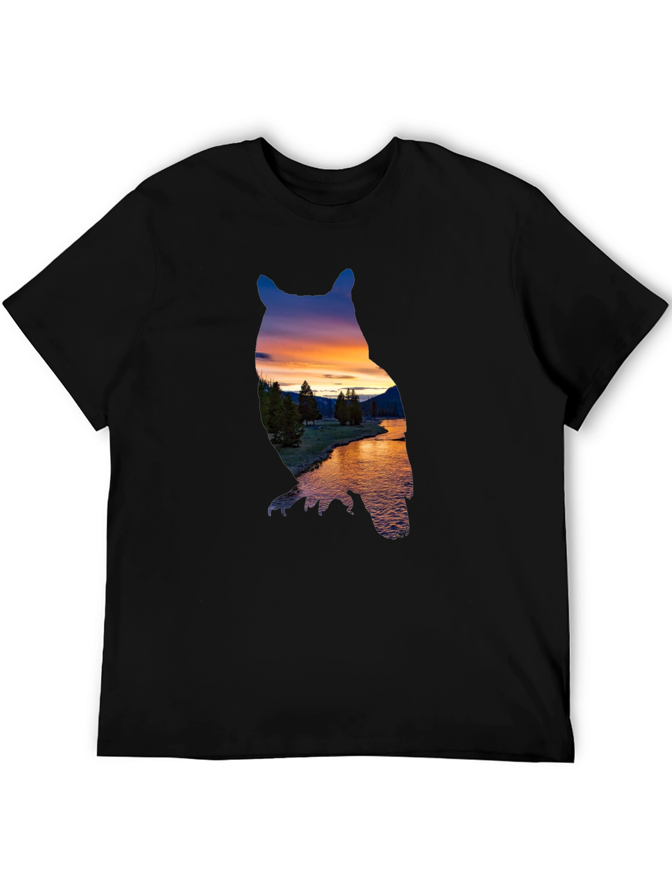 Black Owl Sunset Graphic Tee view 5