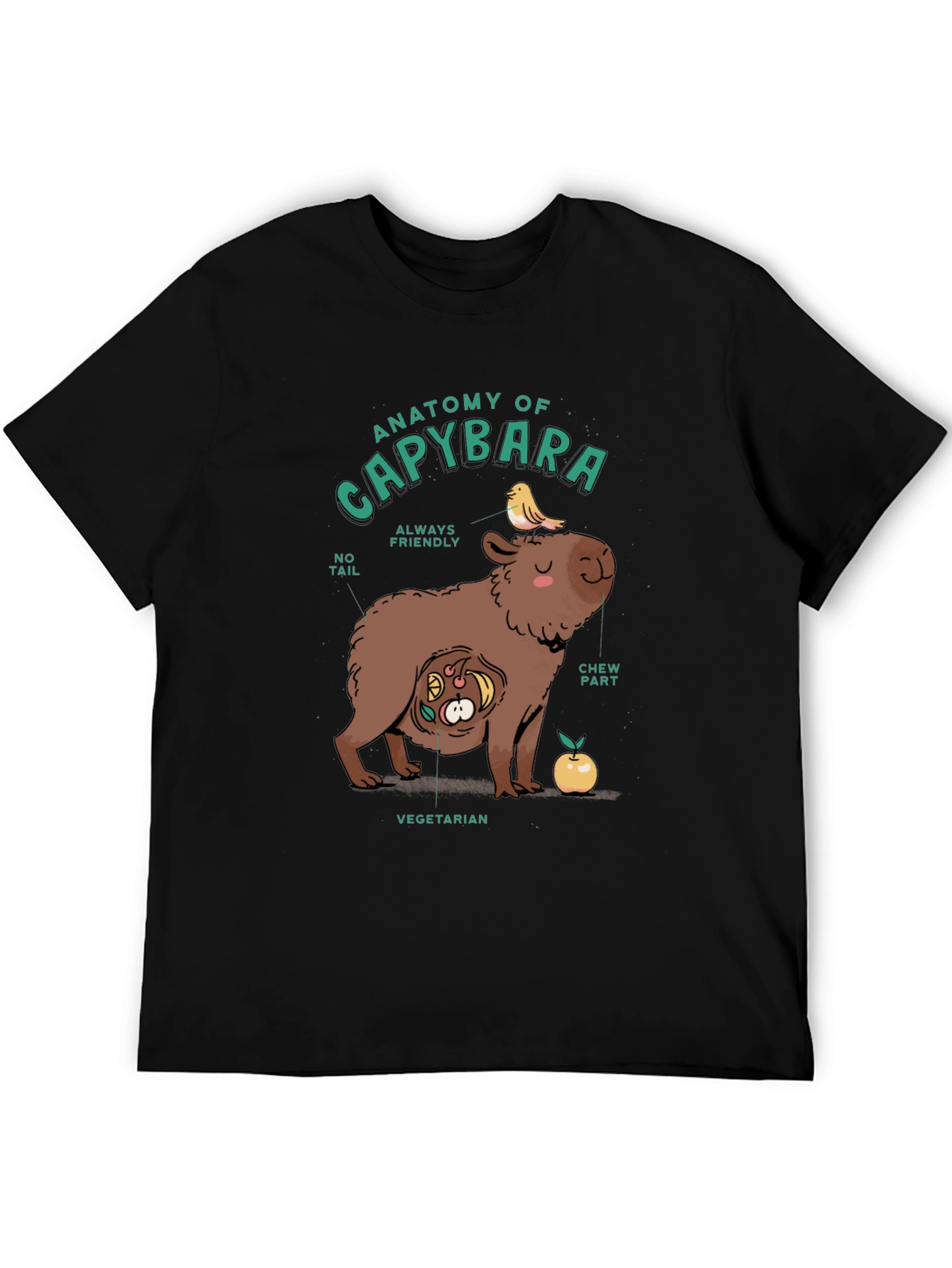 Black Anatomy of a Capybara Graphic T-Shirt view 5
