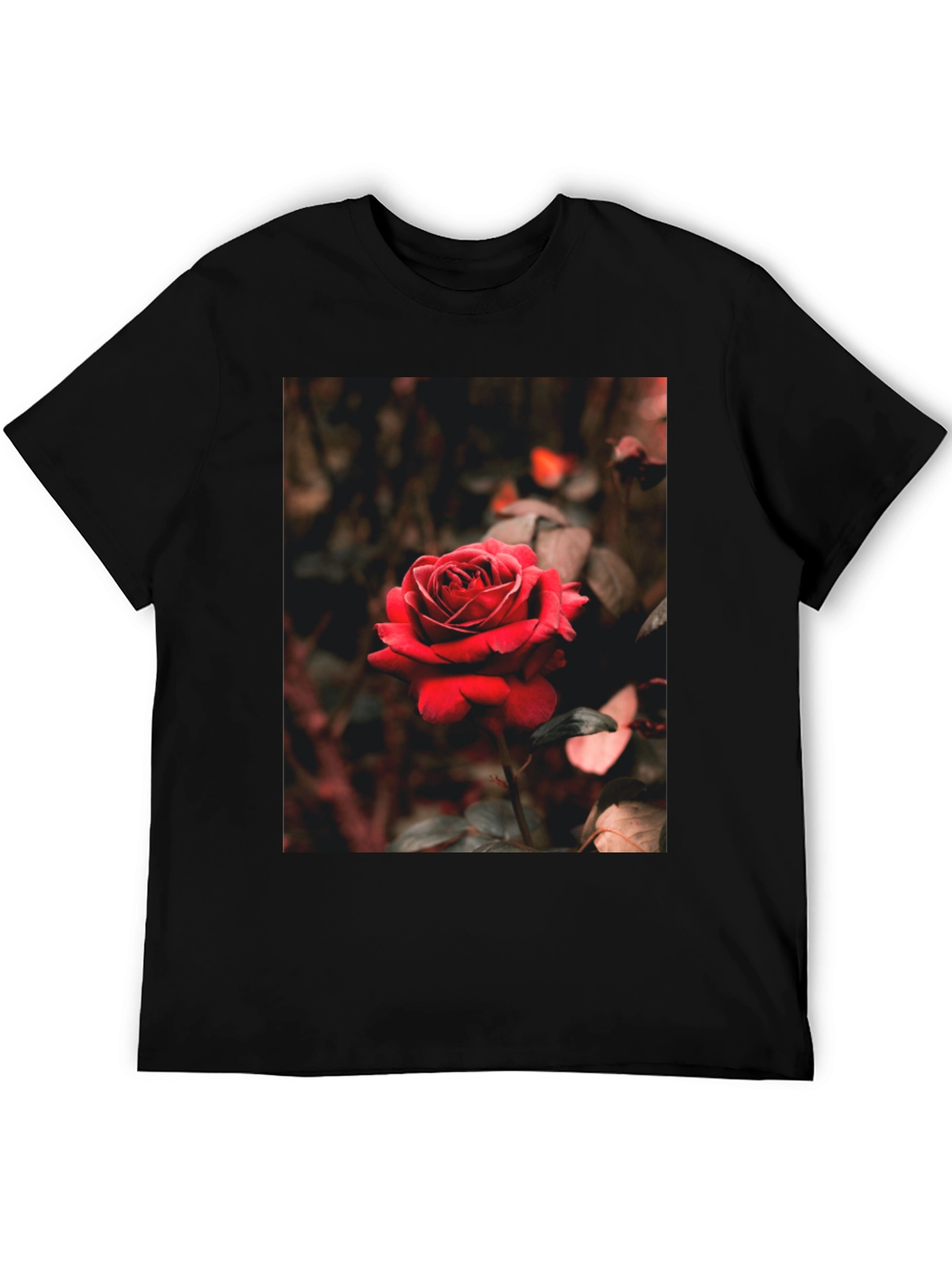 Black Rose Graphic Tee - Black Cotton T-Shirt view 5
