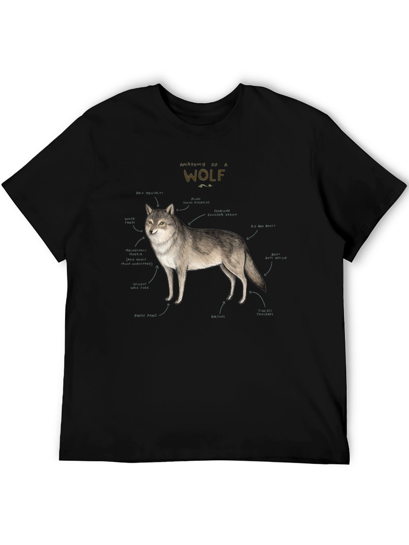 Black Anatomy of a Wolf Graphic T-Shirt view 5