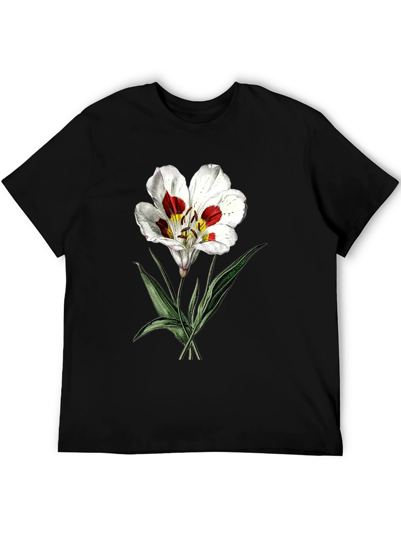 Black Botanical Lily Graphic Tee - Black view 5