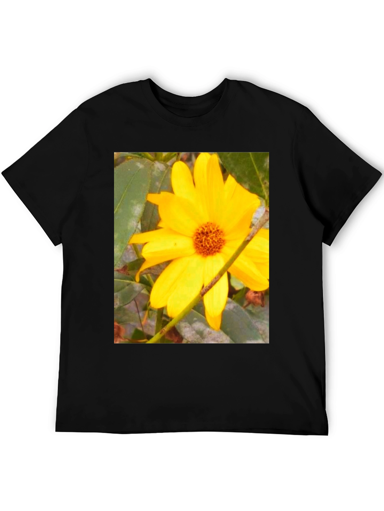 Black Sunflower Print Black T-Shirt view 5