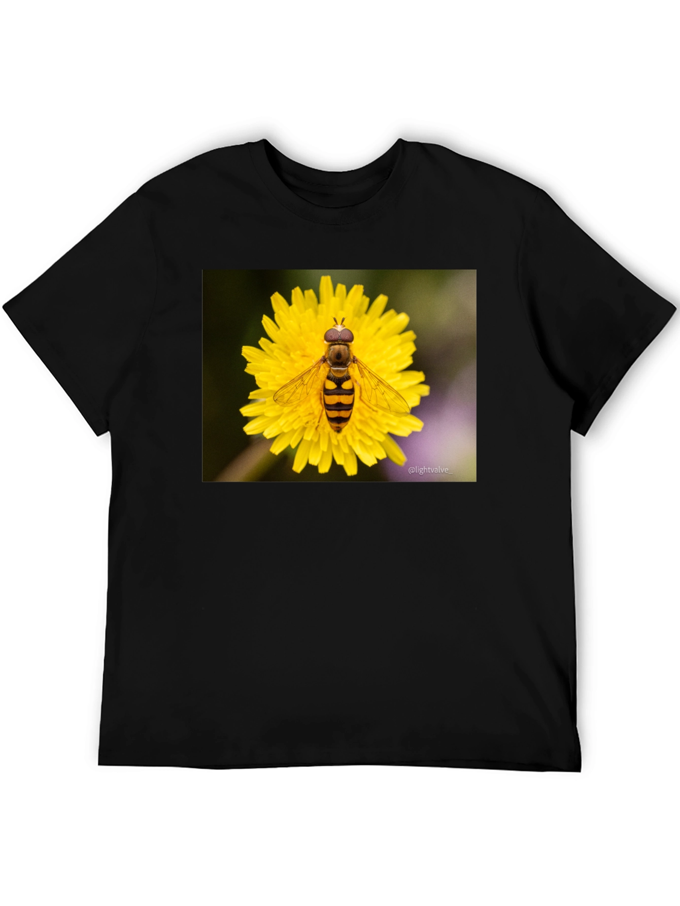 Black Bee on Flower Graphic Tee - Black Cotton T-Shirt view 5