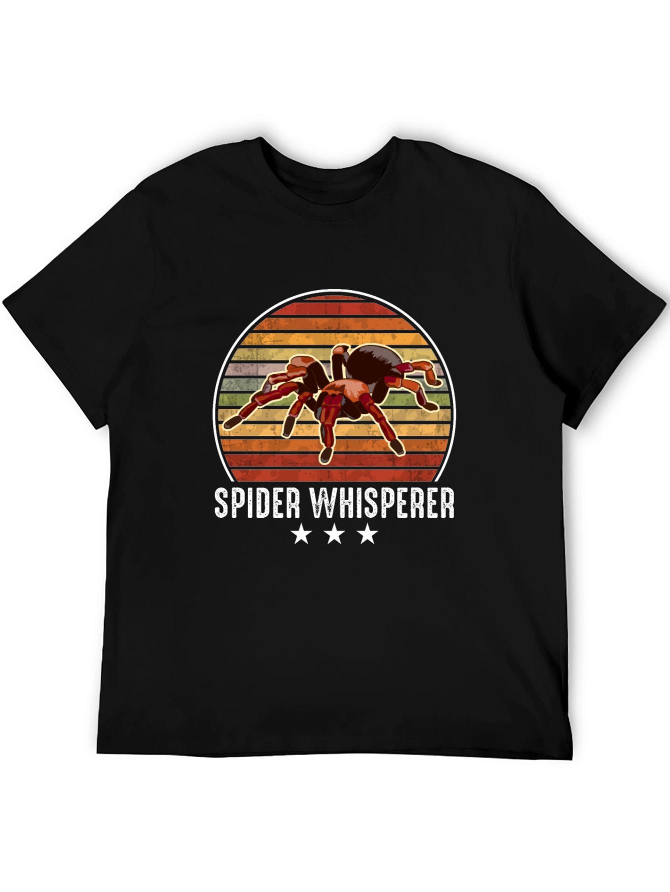 Black Spider Whisperer Graphic Tee view 5