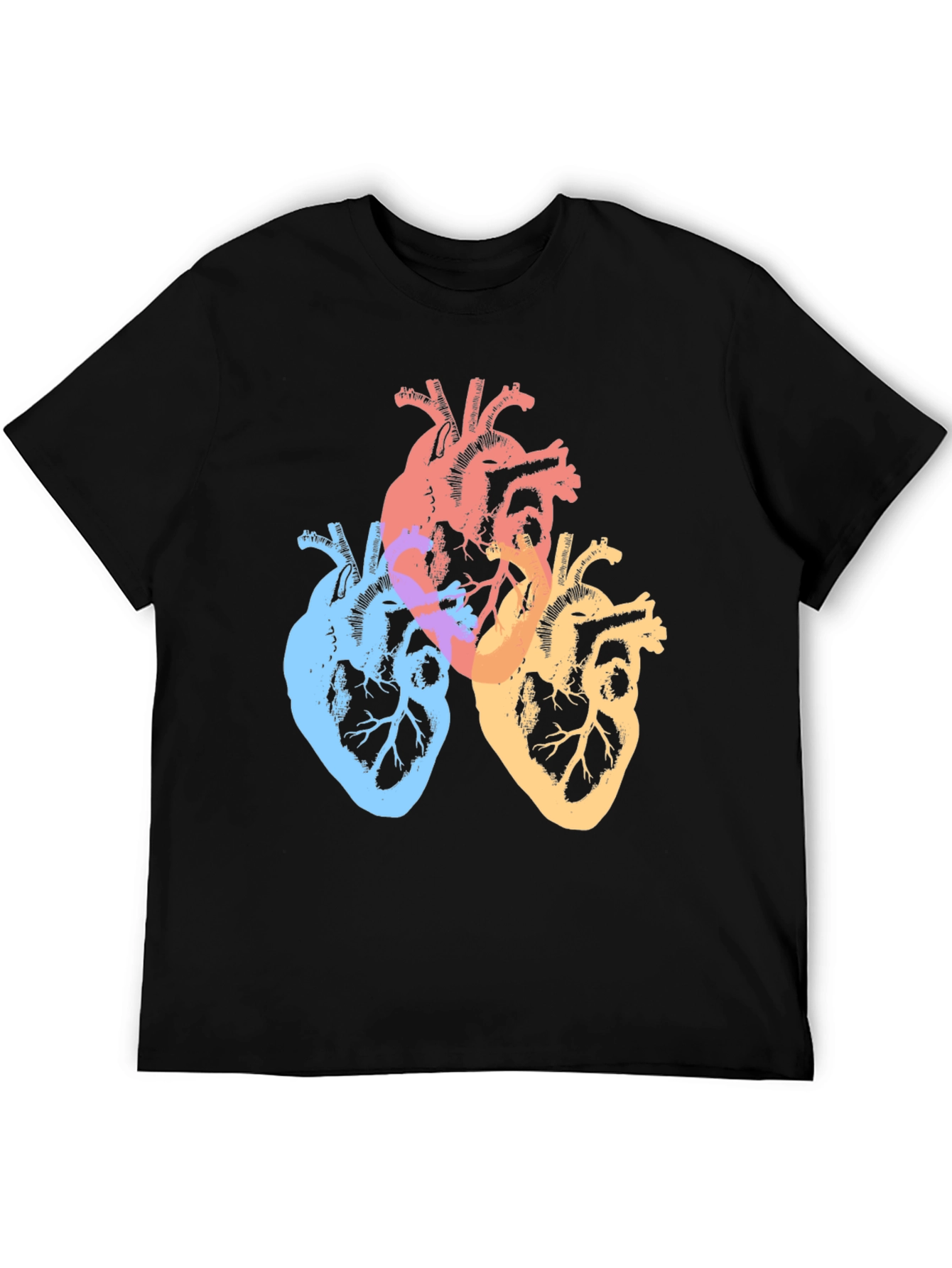 Black Colorful Anatomical Hearts Graphic Tee - Black view 5