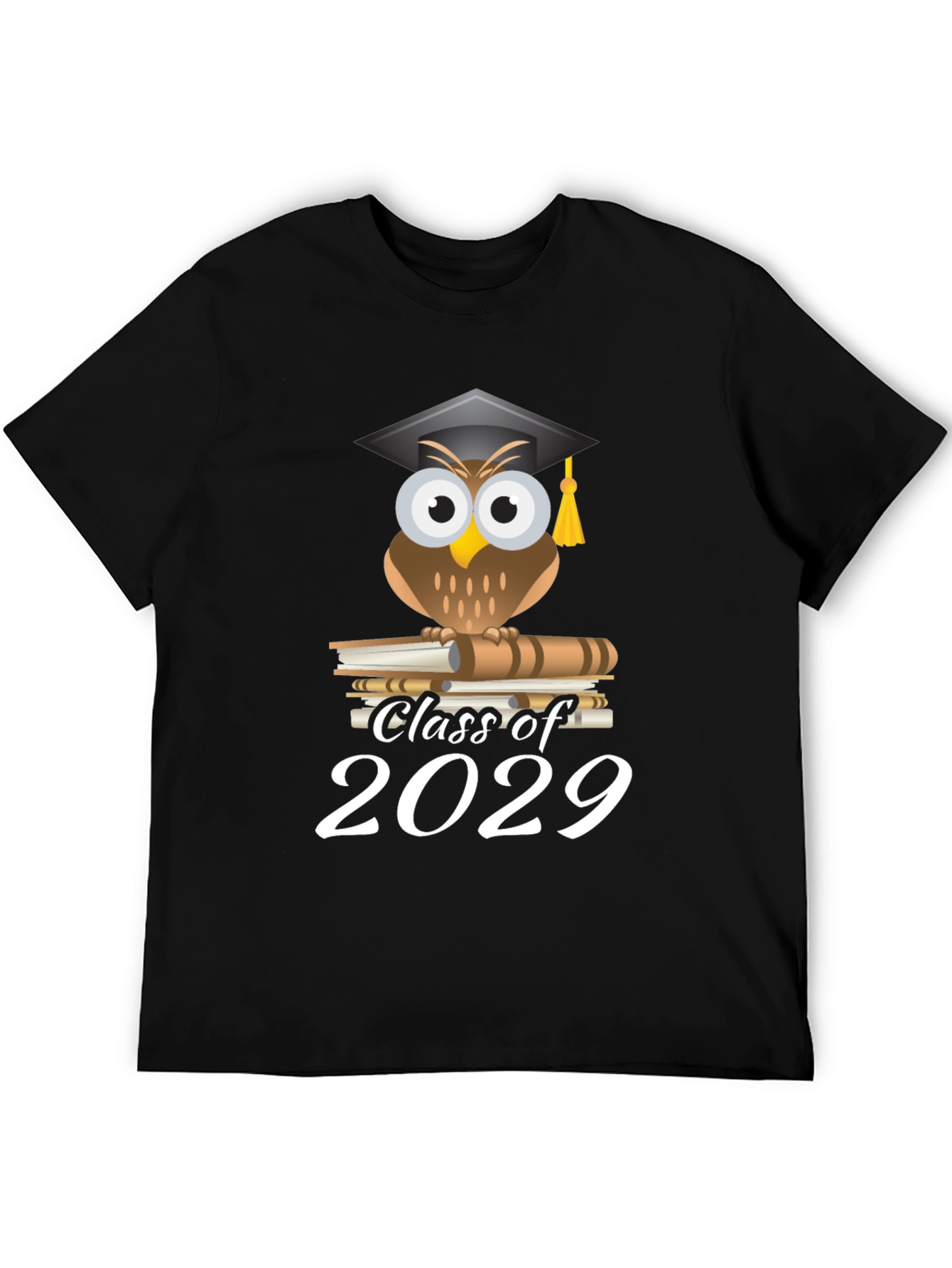 Black Class of 2029 Owl Graduation T-Shirt view 5