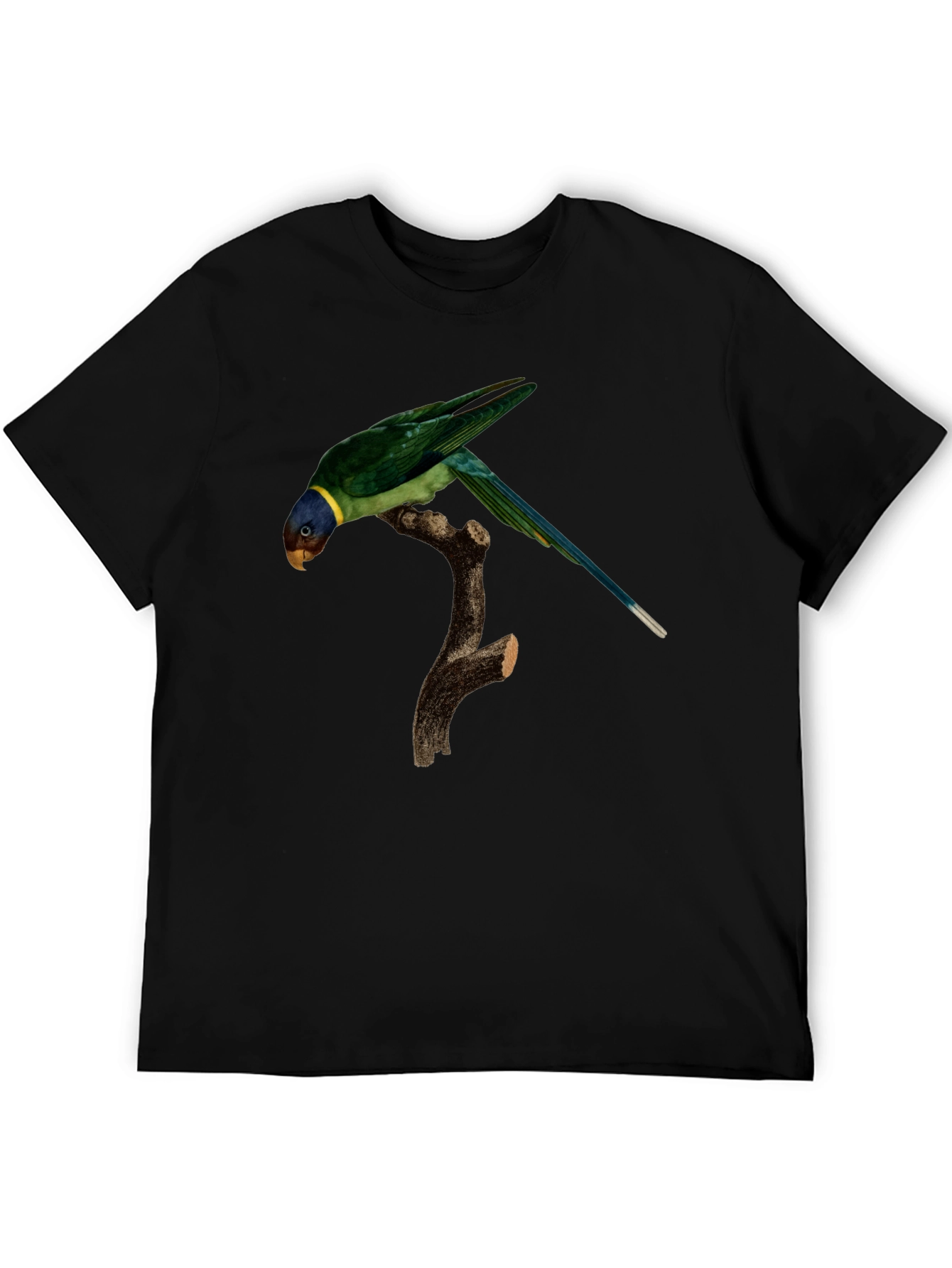 Parrot Graphic T-Shirt - Unique Bird Print - 5
