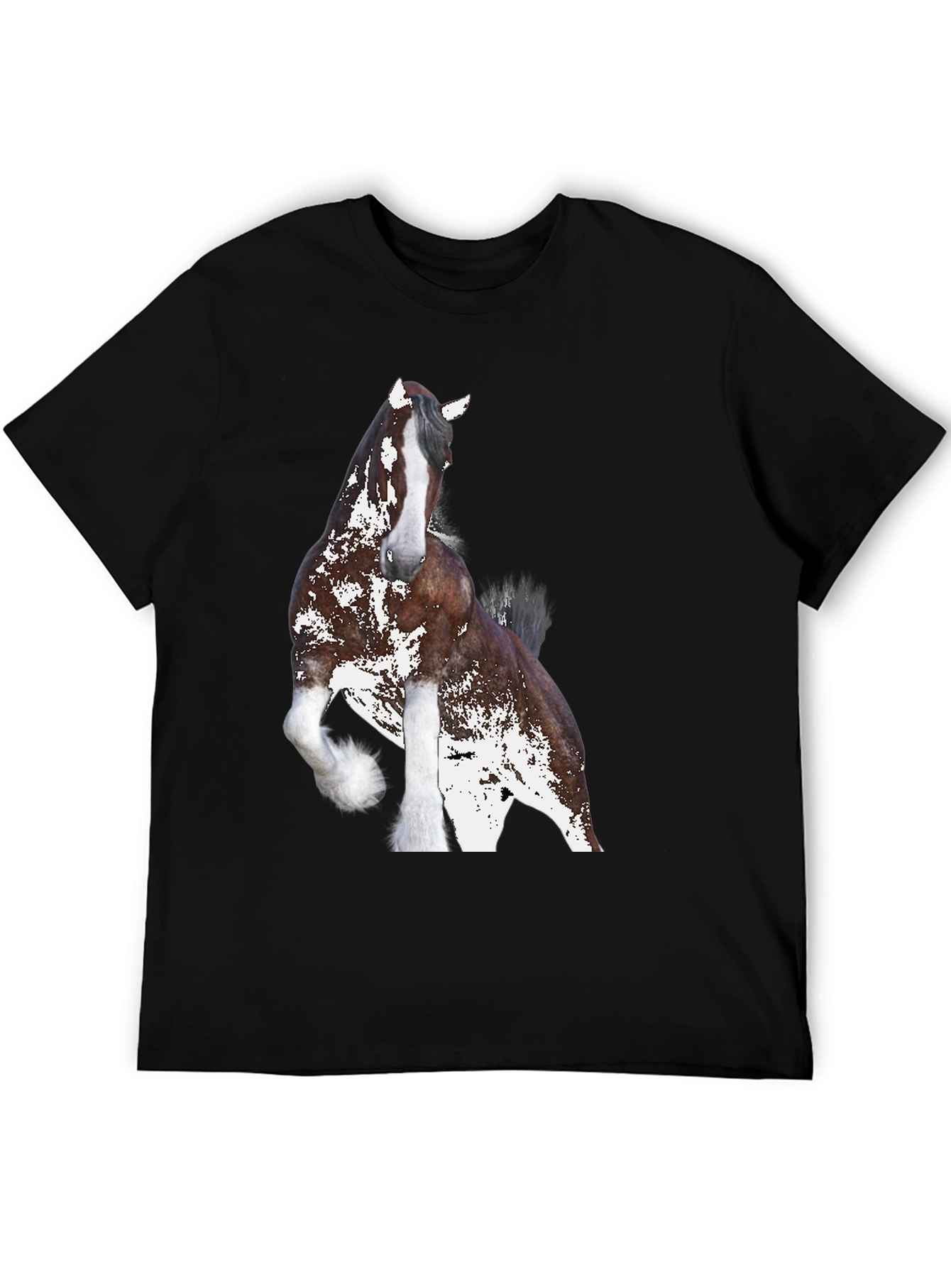 Black Horse Graphic Tee - Black Cotton Blend Shirt view 5