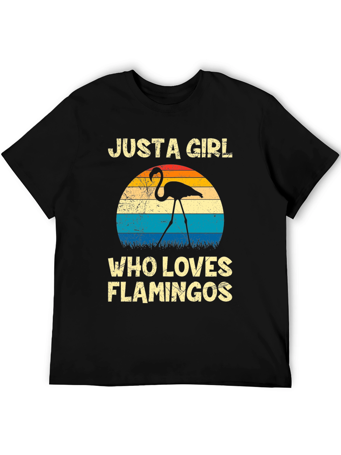 Black Just A Girl Who Loves Flamingos Graphic Tee view 5