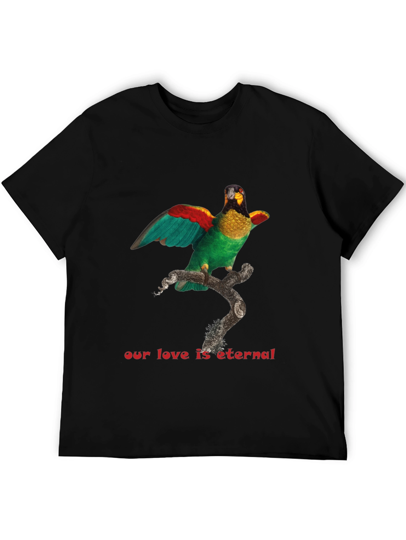 Parrot Graphic T-Shirt: Eternal Love Tee - 5