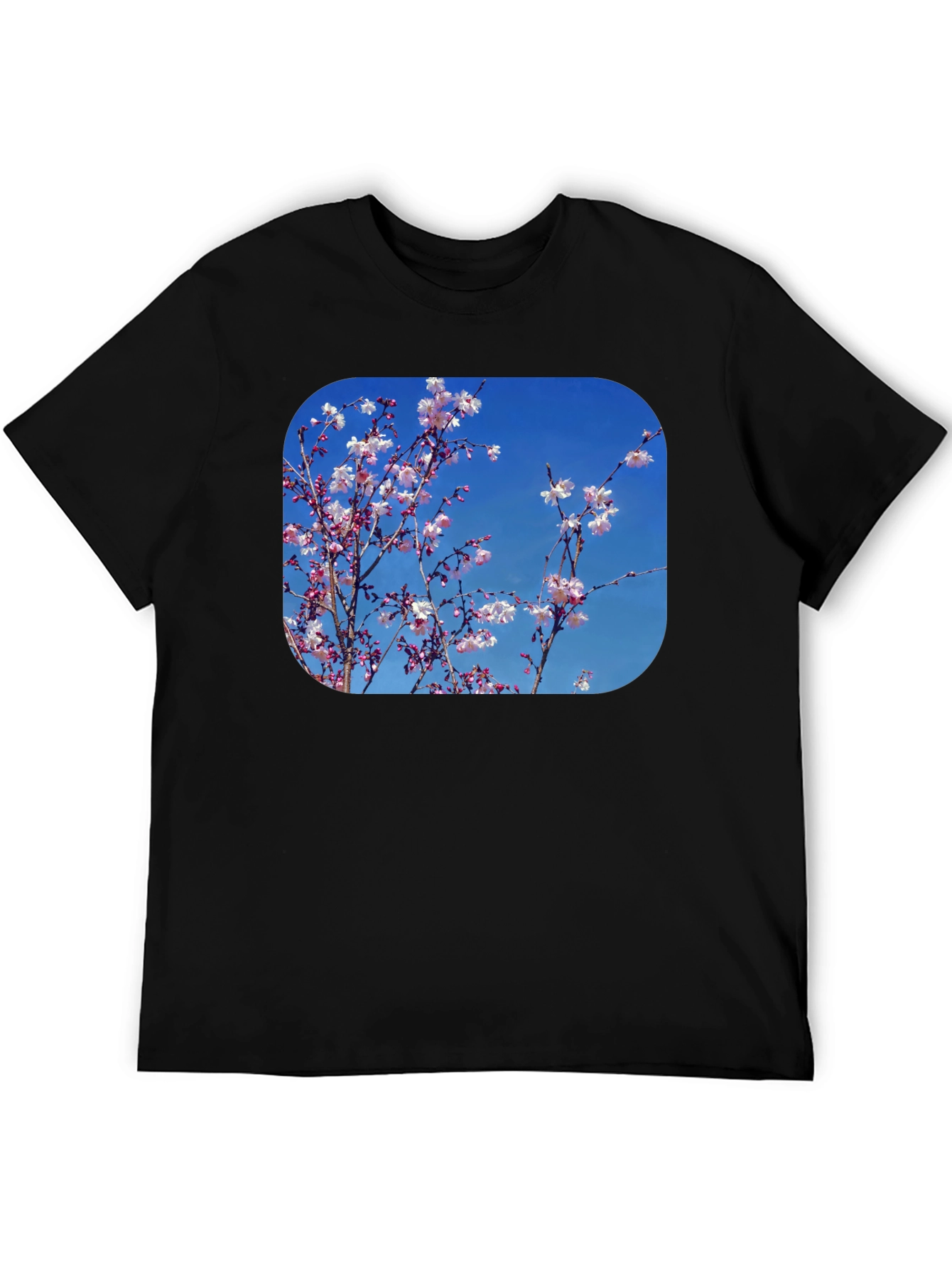 Black Blossom Tee - Black Cotton Blend with Floral Print view 5